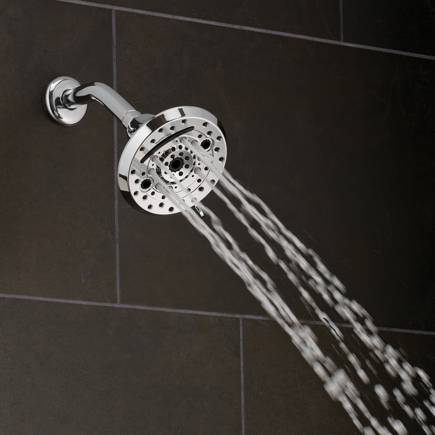 Amp Polished Chrome 5-Inch Wall Mounted Shower Head