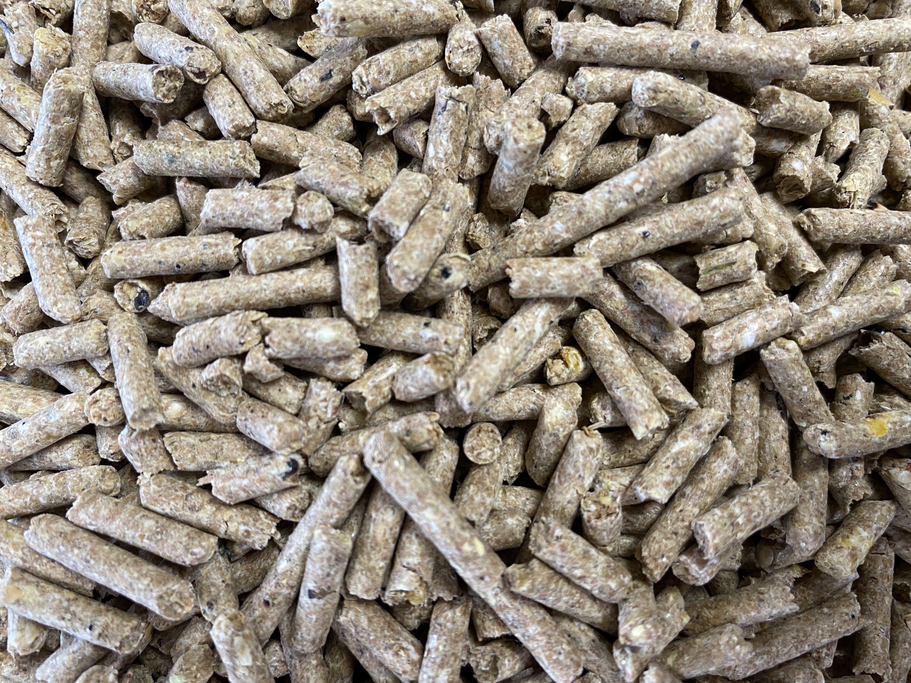 RANCH-WAY FEEDS 53310 Adult Beef Food