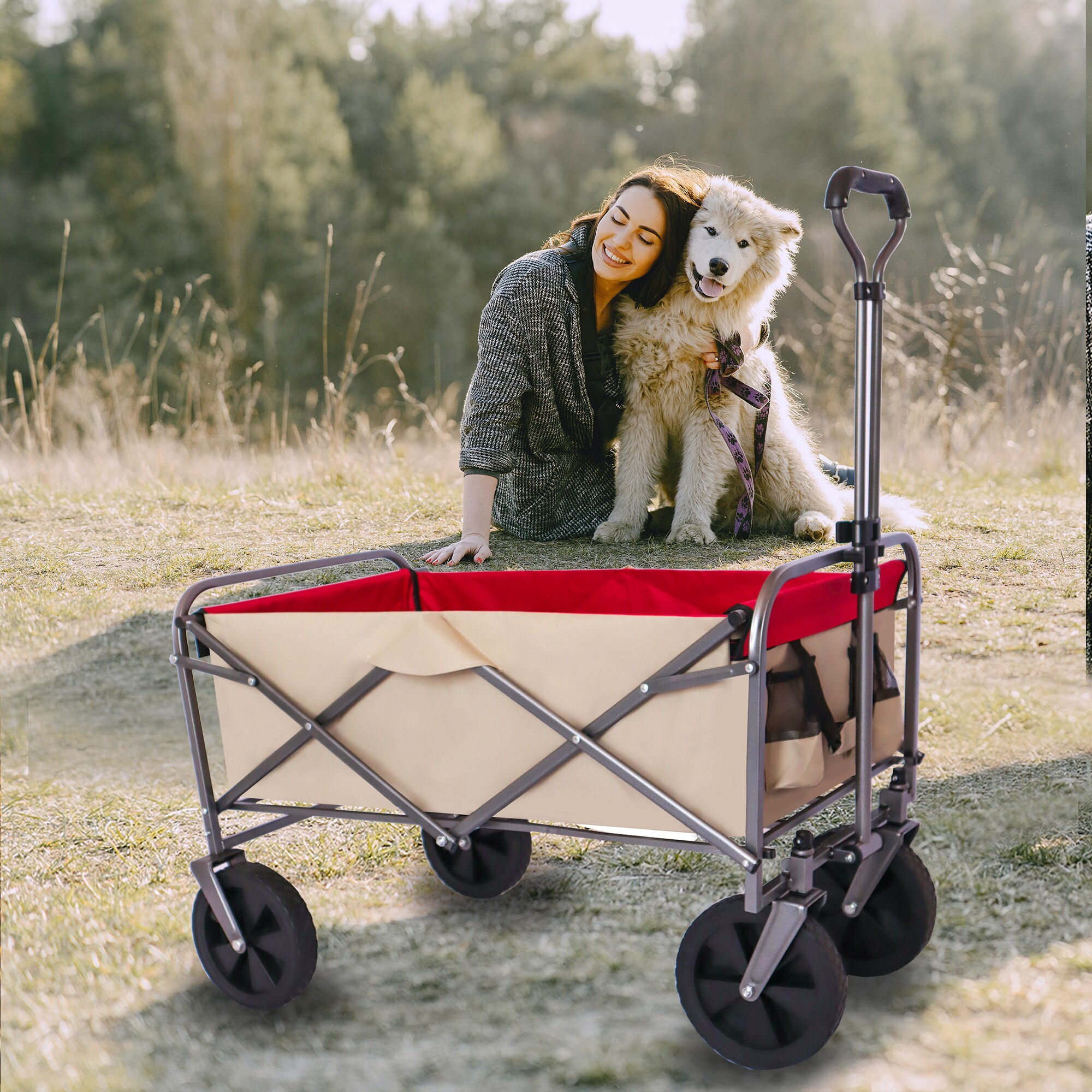 AHIOU HOME ZAAHG-102219C Yard-Carts - View #8