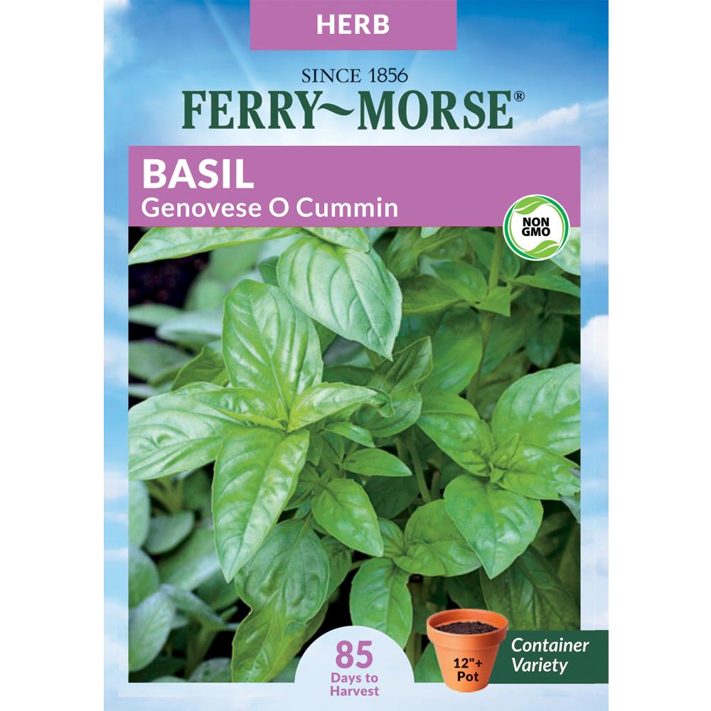 Ferry Morse 400 mg Basil Genovese O Cummin Herb Seed Packet at