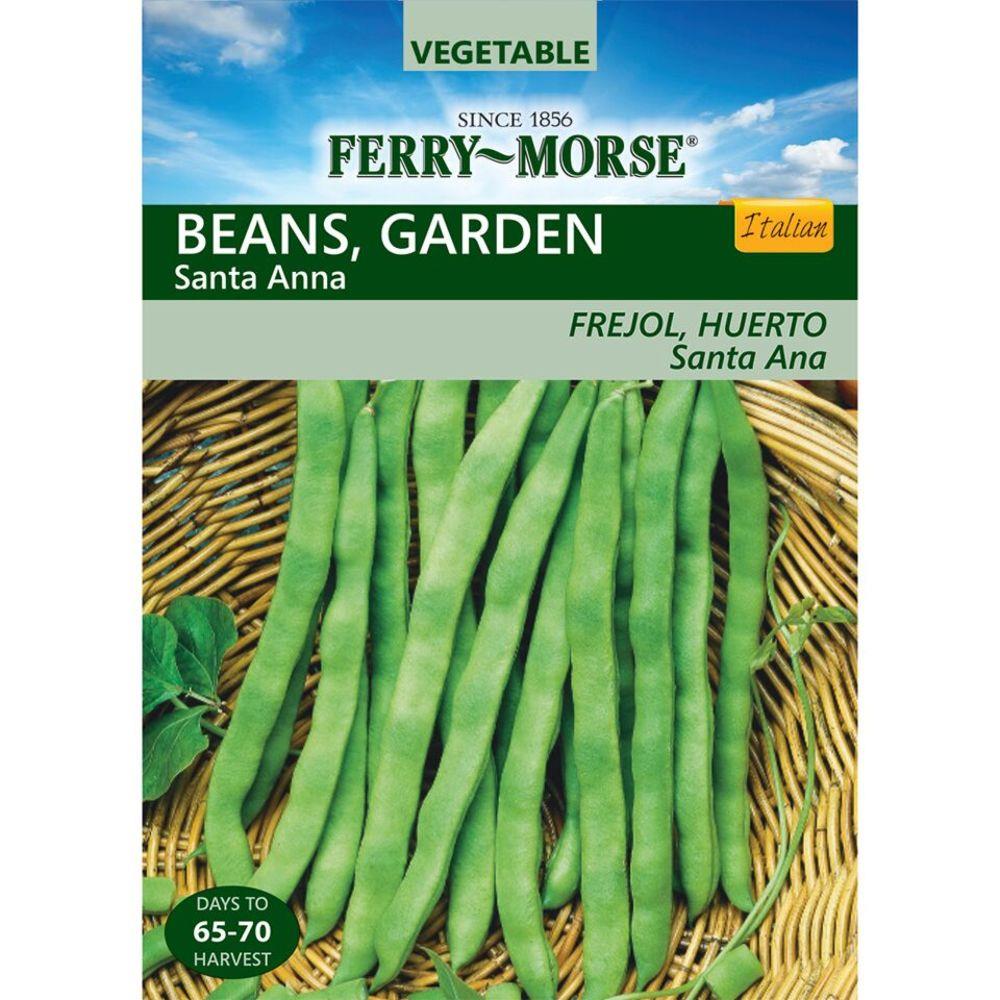 Ferry-Morse 15-Gram Bean Santa Anna (L0000) at Lowes.com