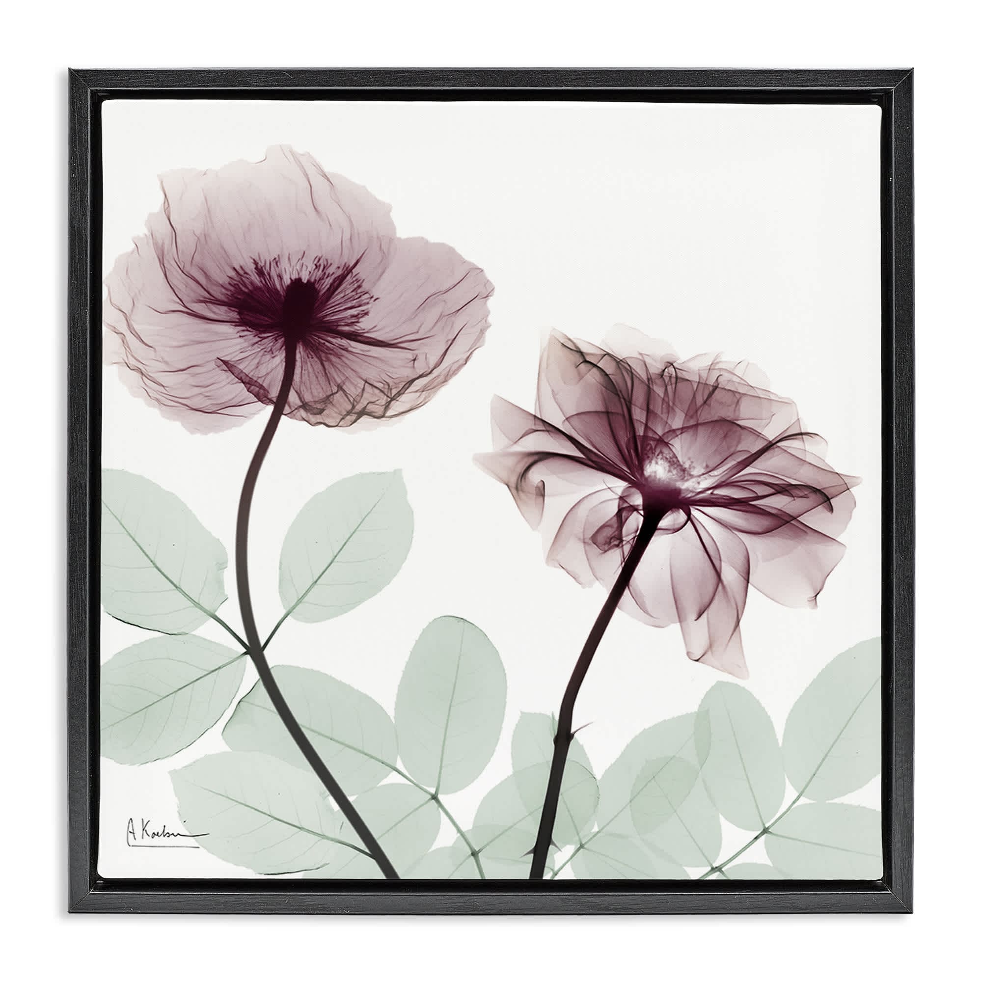 Stupell Industries BS-024-FFB-24X24 Delicate Floral Bunches Black Framed Floater Canvas Wall Art By Albert Koetsier 25 x 25