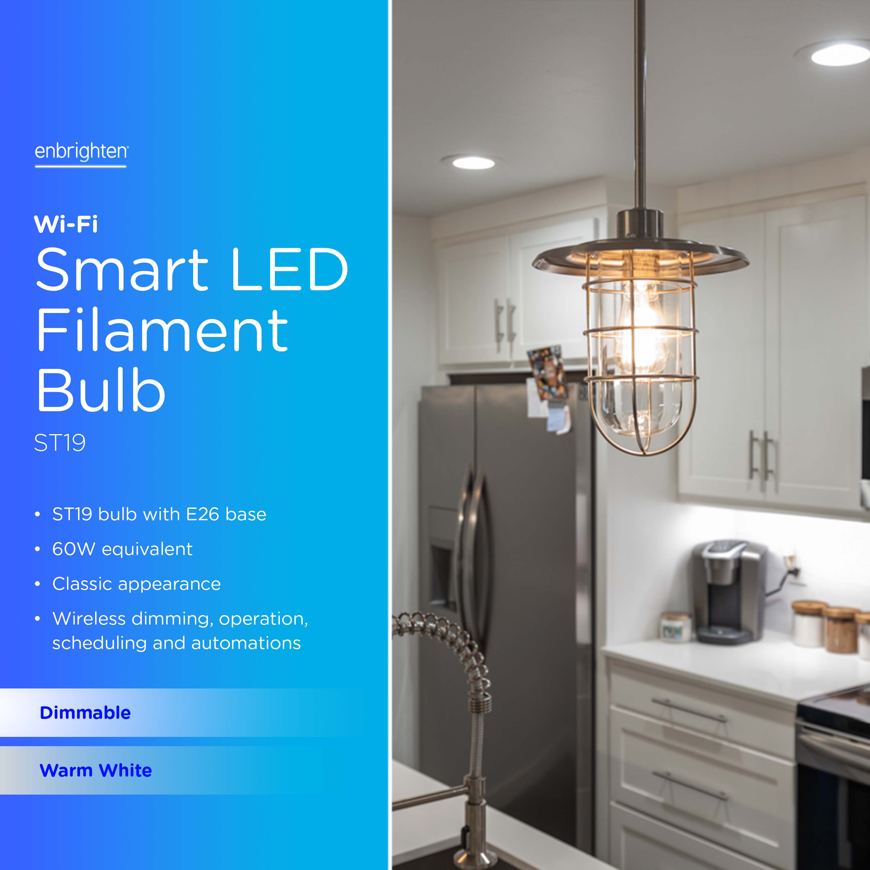 Enbrighten 51345 Dec-Led-Light-Bulbs - View #3