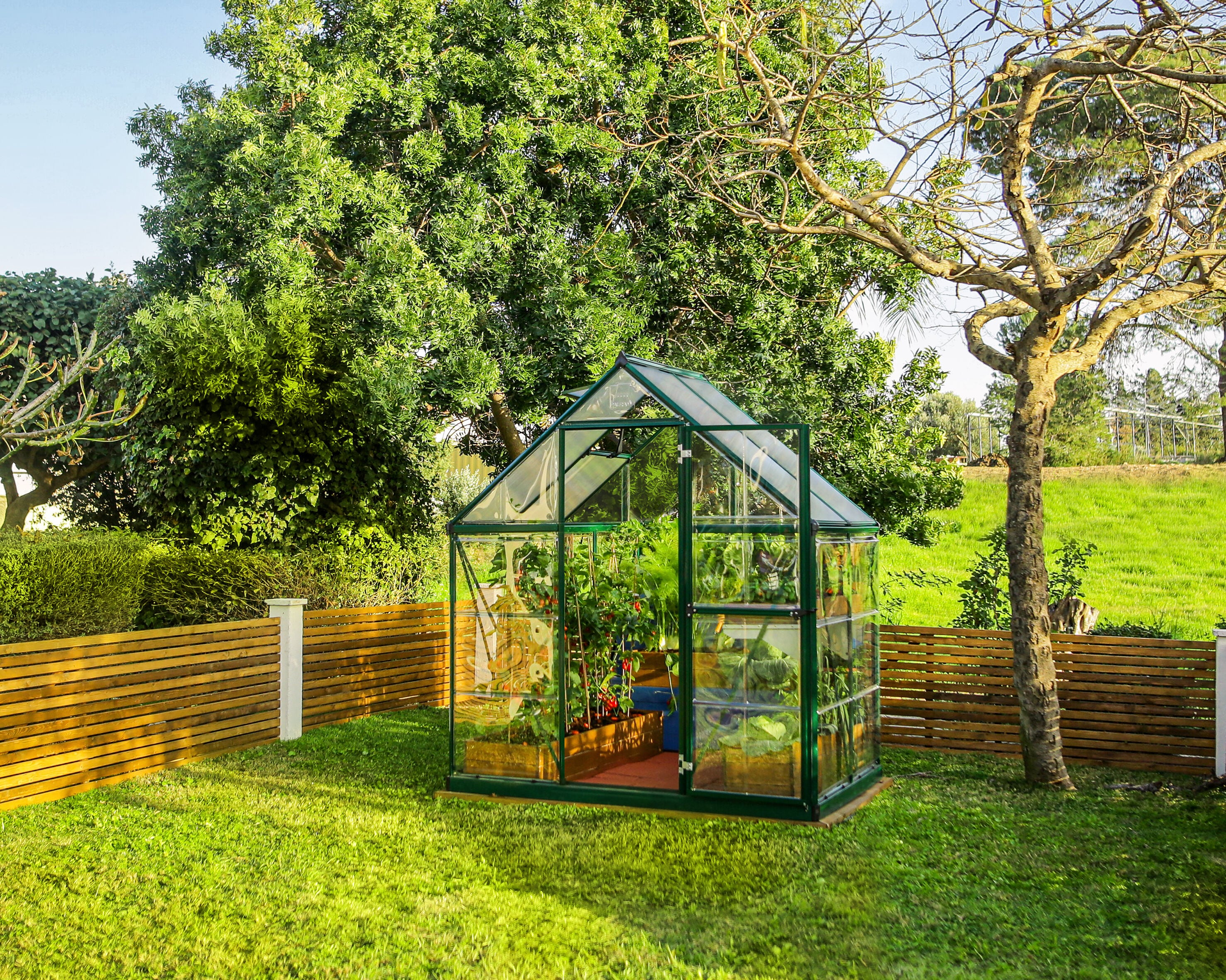 Palram 6' x 4' Green Polycarbonate and Aluminum Walk-In Greenhouse