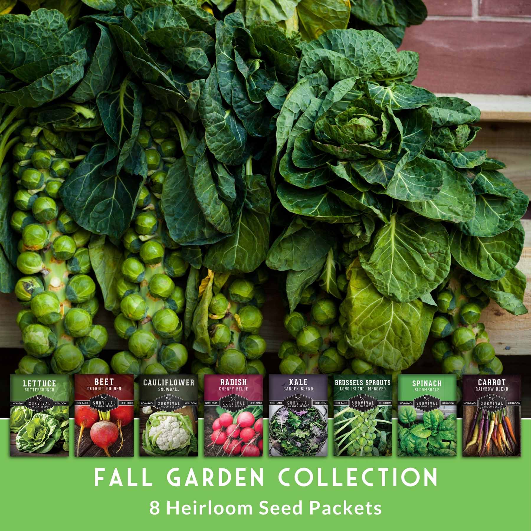 Survival Garden Seeds FALLCOLLEC Vegetable-Herb-Seeds - View #4
