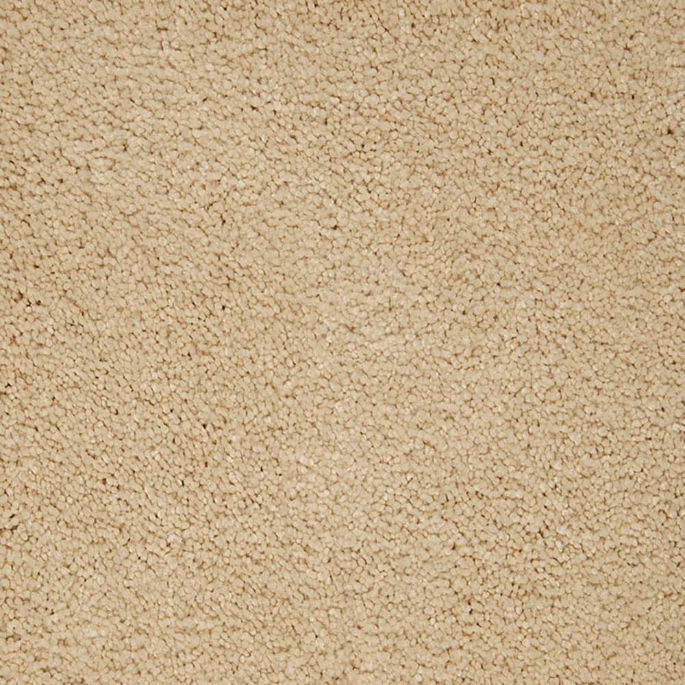 STAINMASTER PetProtect STP54-12-L012 Beau Dacious Soft Lights Brown 48-oz sq yard Triexta Textured Indoor Carpet
