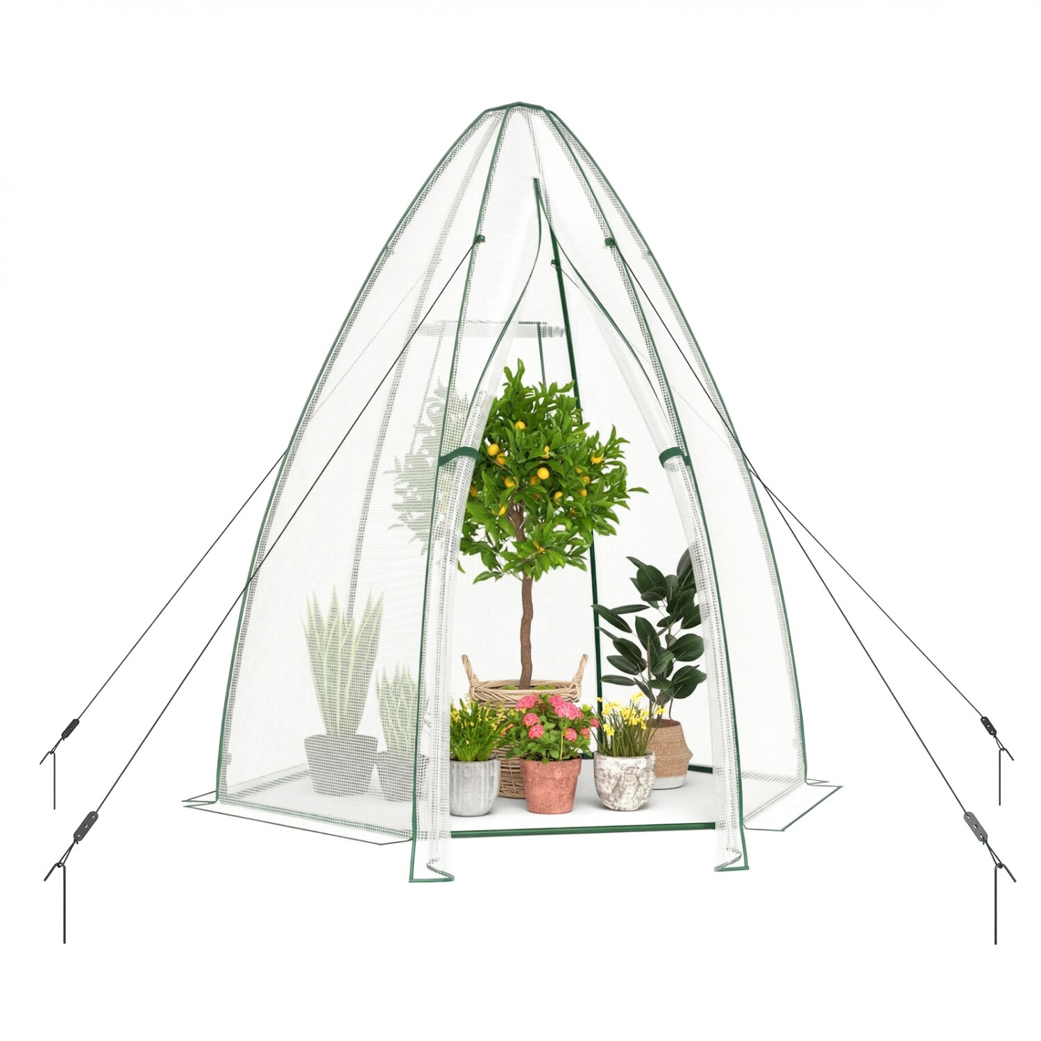 Slickblue D-CO-HW9593TG greenhouses - View #4