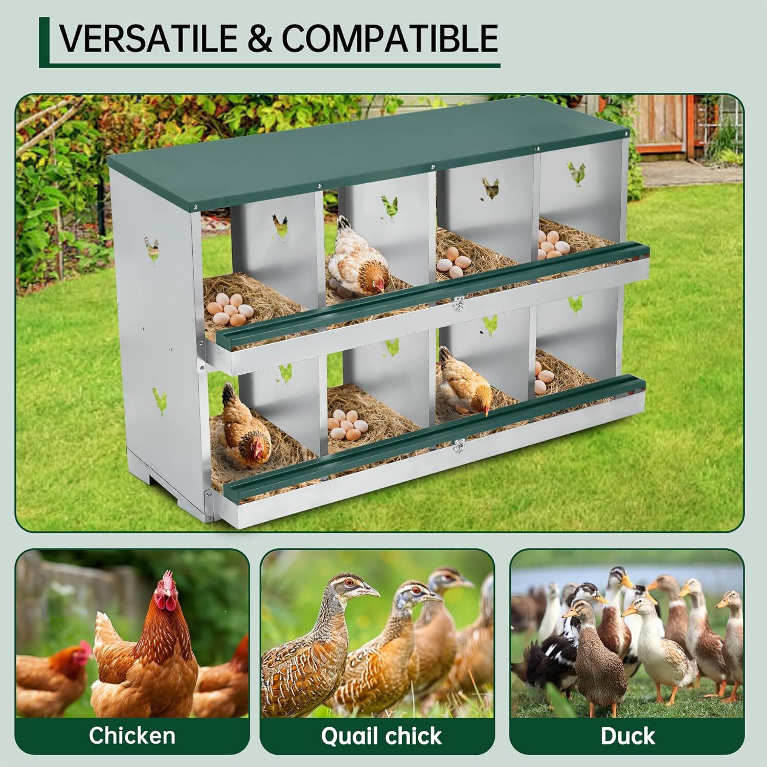 Qeetex GGL-PPG-33CSNQ48 Barbells-Weight-Bars-Plates - View #5