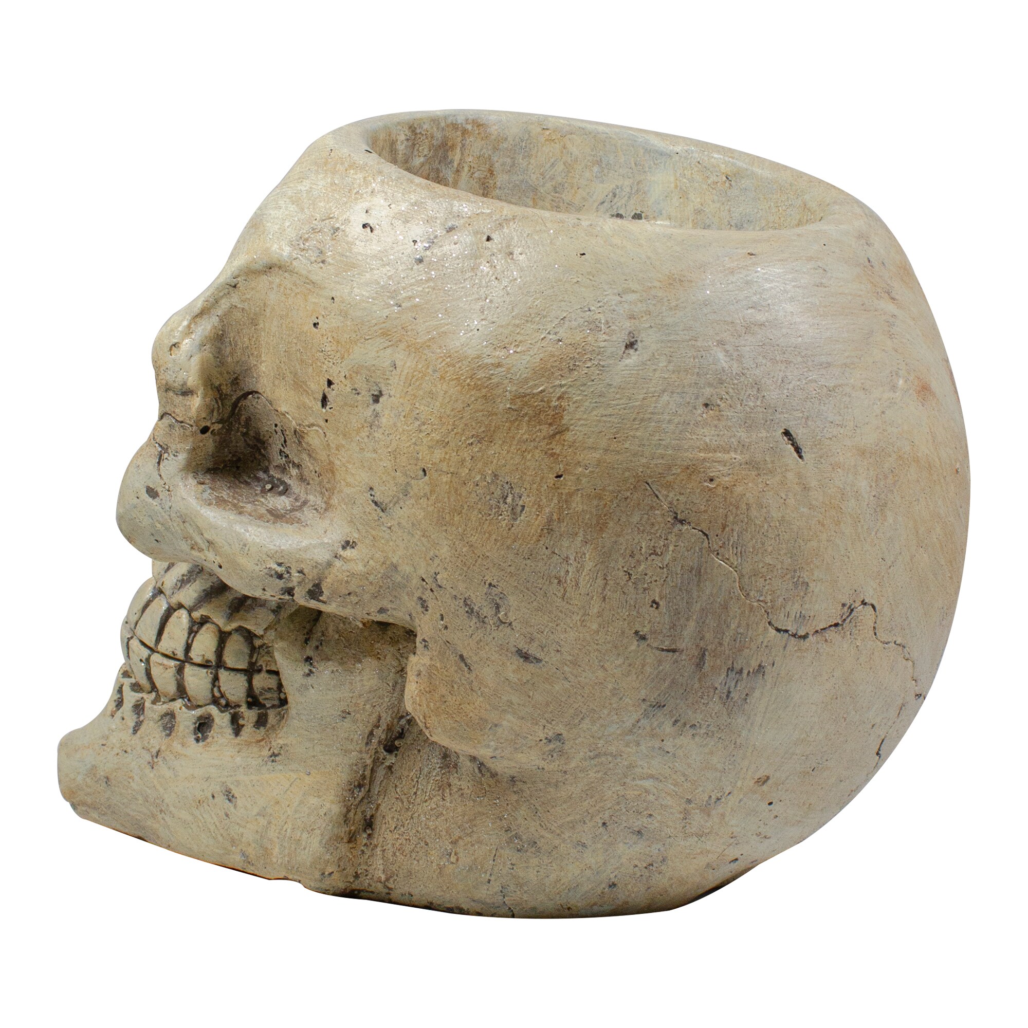 Northlight 34338767 Table-Halloween-Decor - View #5