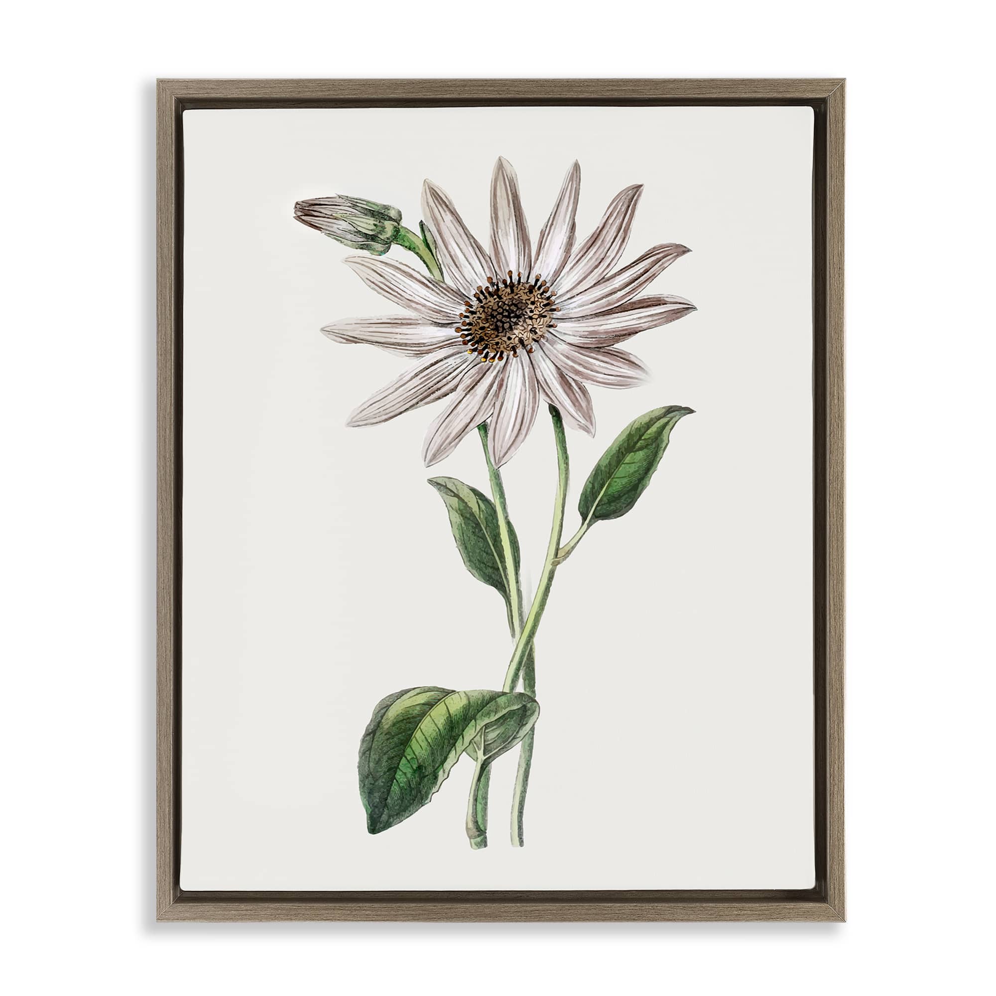 Stupell Industries  Vintage Mum Sprig Brown Framed Floater Canvas Wall Art By CAD Designs 17 x 21