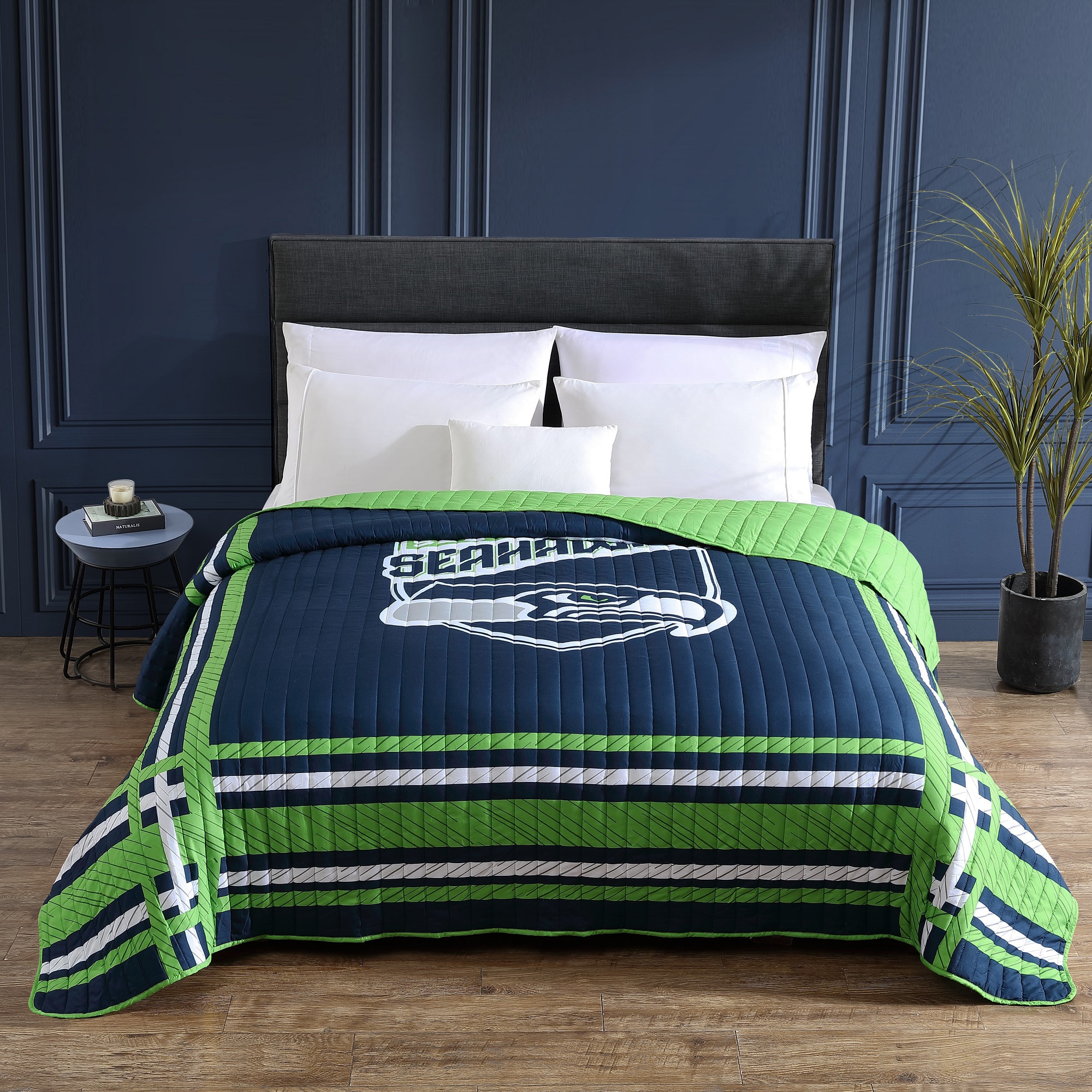 philadelphia eagles comforter