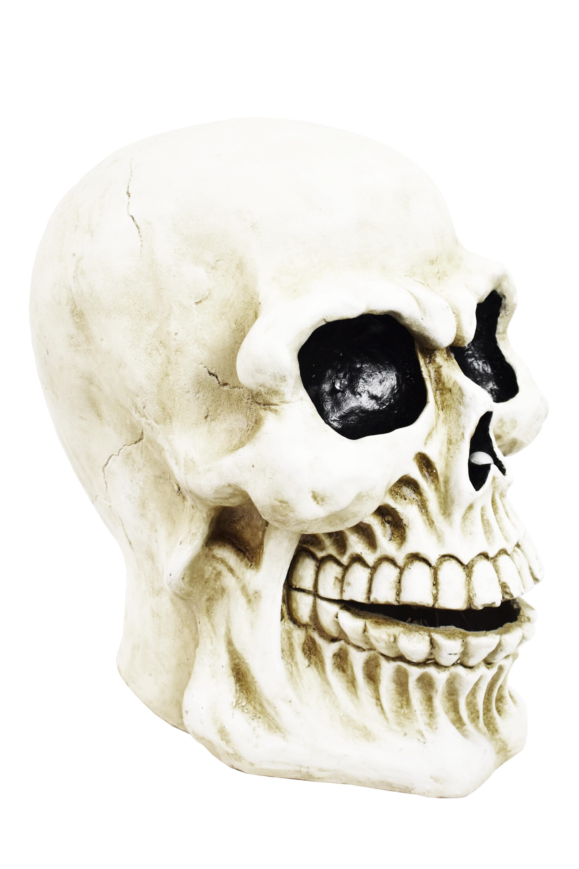 Haunted Living A1518 Outdoor-Halloween-Decor - View #4