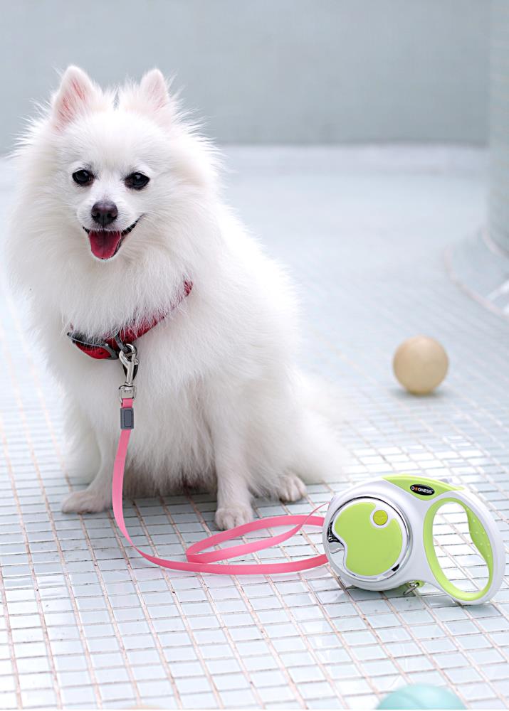 Dogness 843775107778 Leashes-Leads - View #5