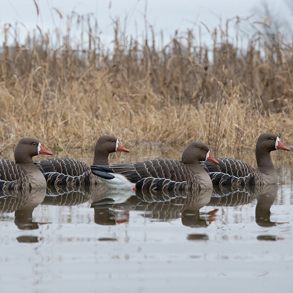  Avian X 408515 Hunting-Equipment - View #8