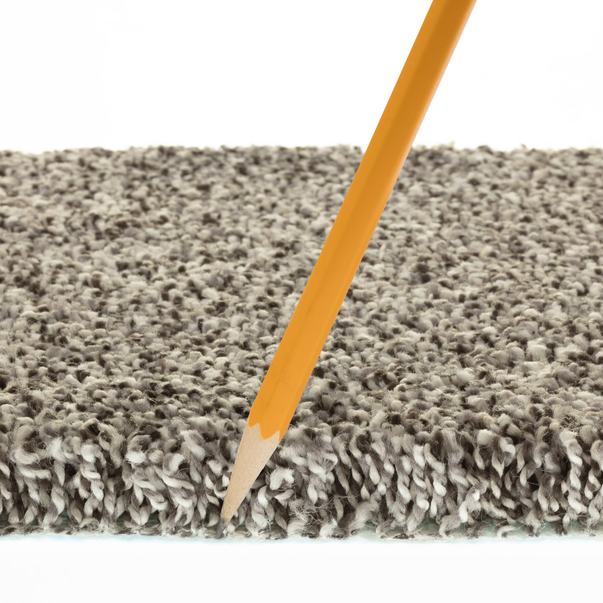 STAINMASTER PetProtect 7L93100568 Carpet-Panel - View #10