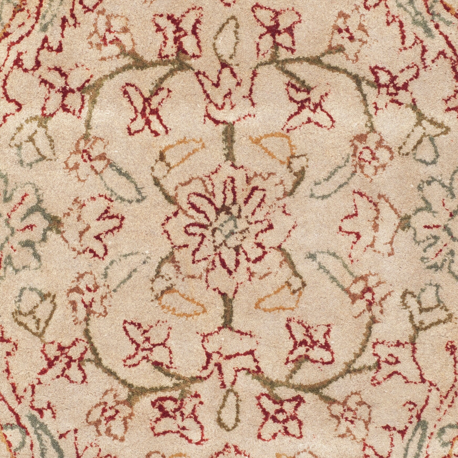 Safavieh PL533A-2 rugs - View #3