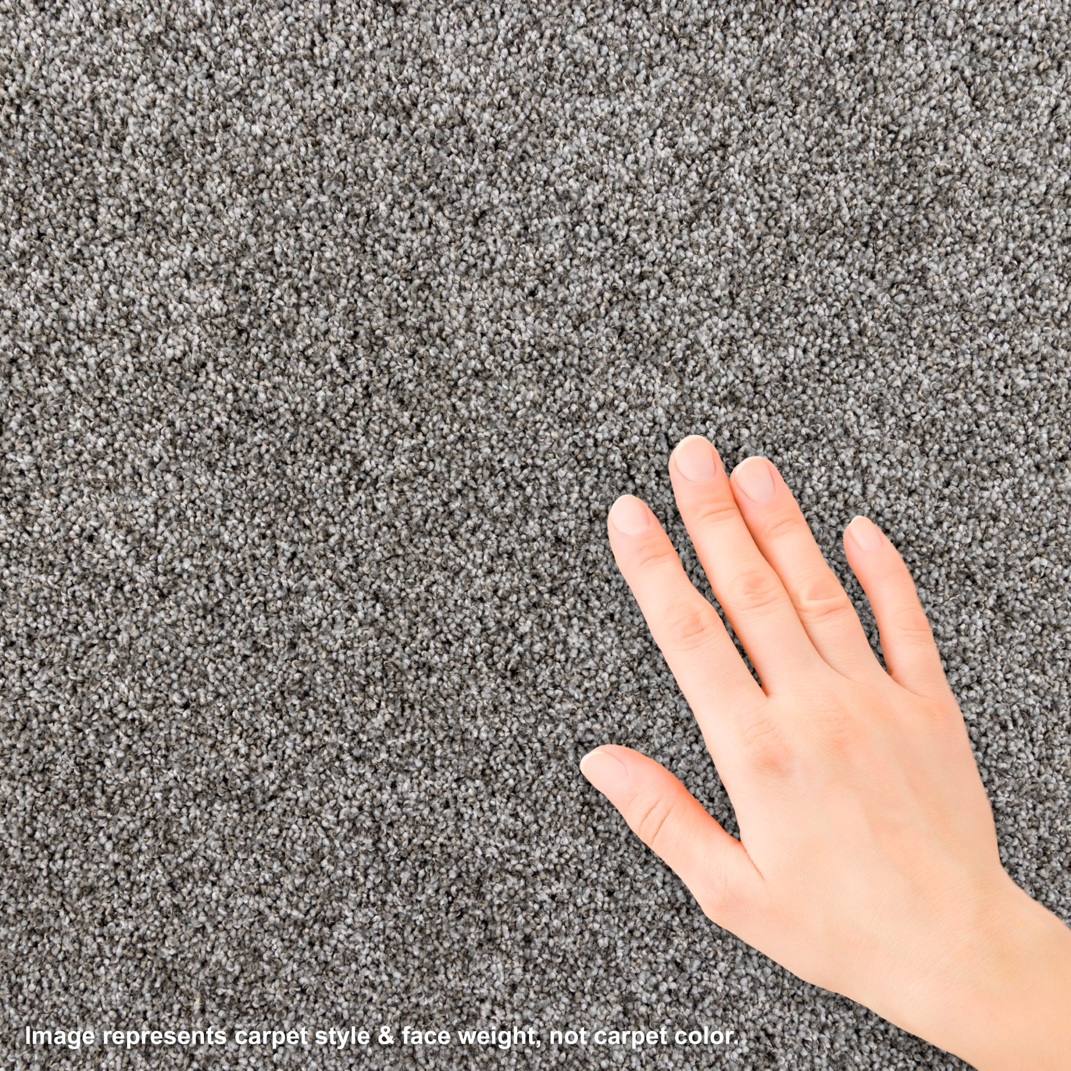 STAINMASTER L3019-2650-1200-AB Carpet-Panel - View #4