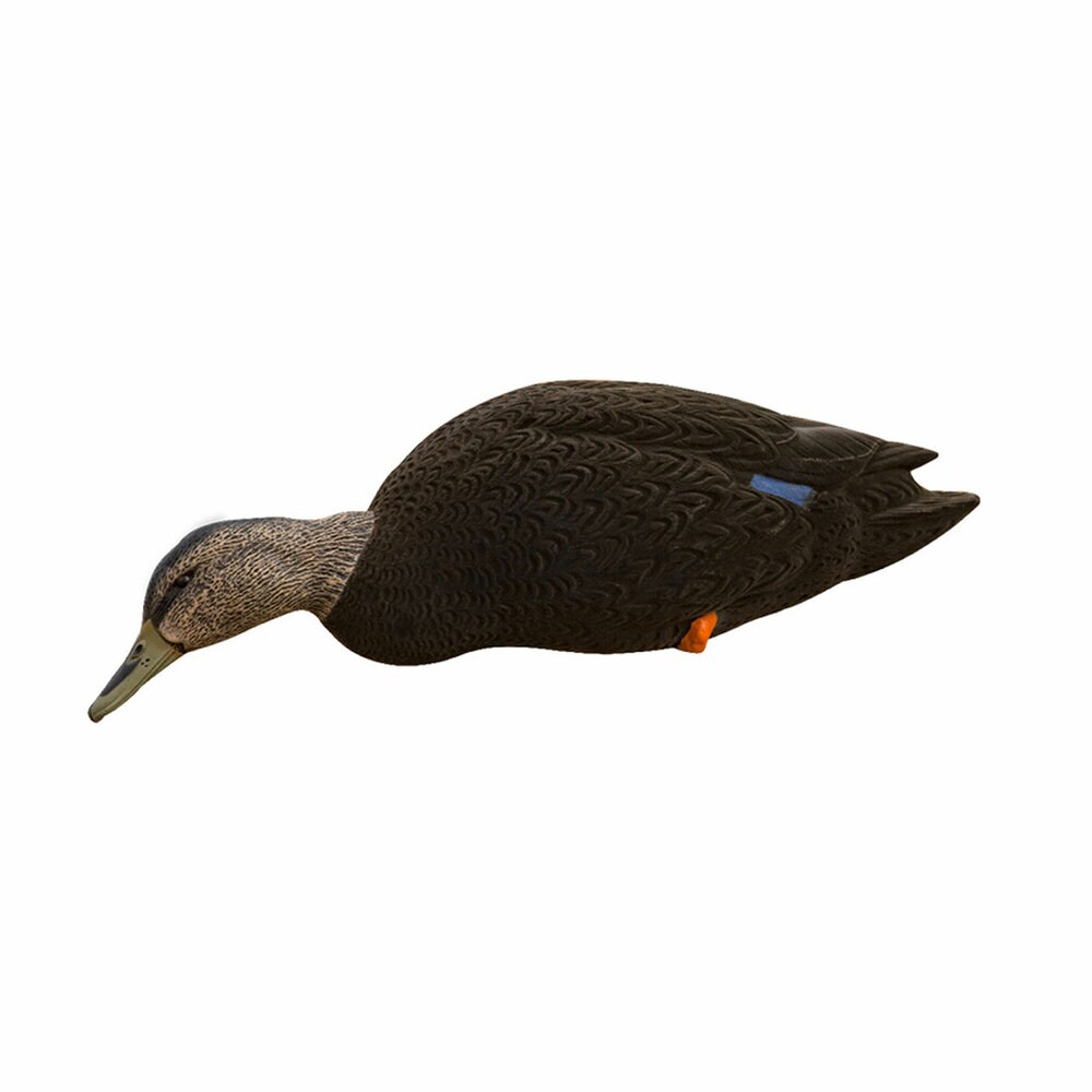  Avian X 408519 Hunting-Equipment - View #11