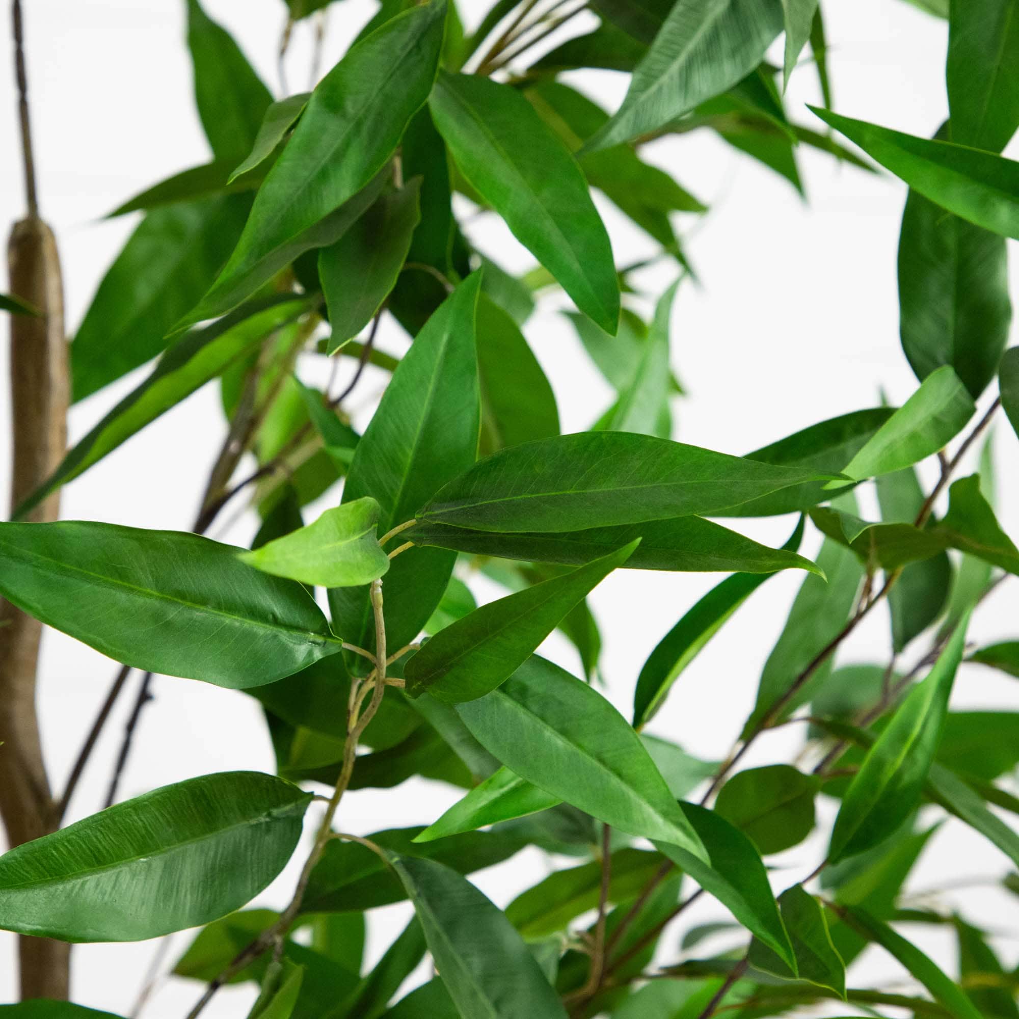 Nearly Natural T4656 Artificial-Plants-Trees - View #4