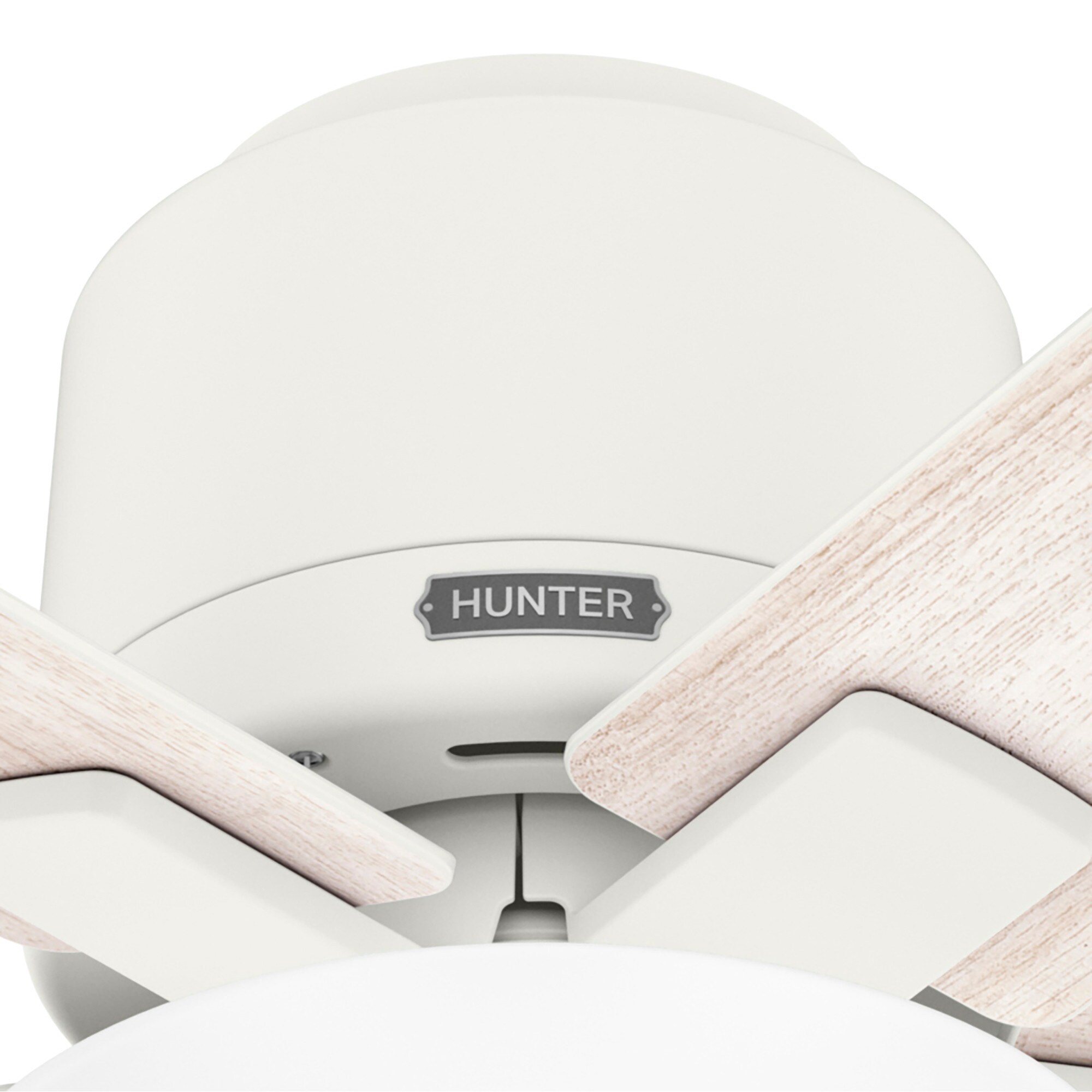 Hunter 51588 Ceiling-Fans - View #16