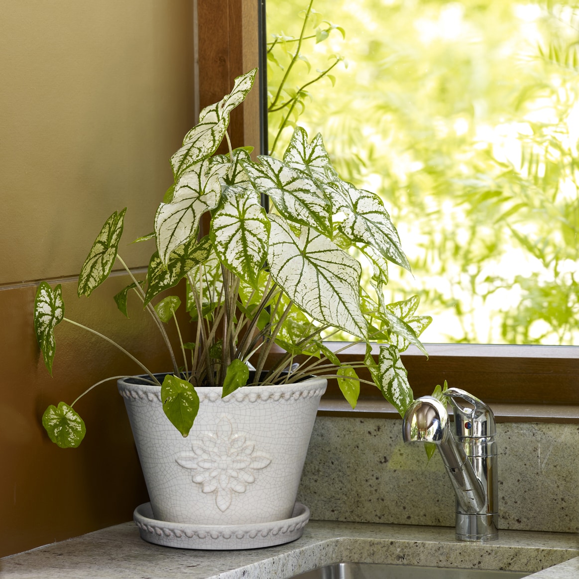 Southern Patio CRM-030928P2 Planter-Window-Box - View #5