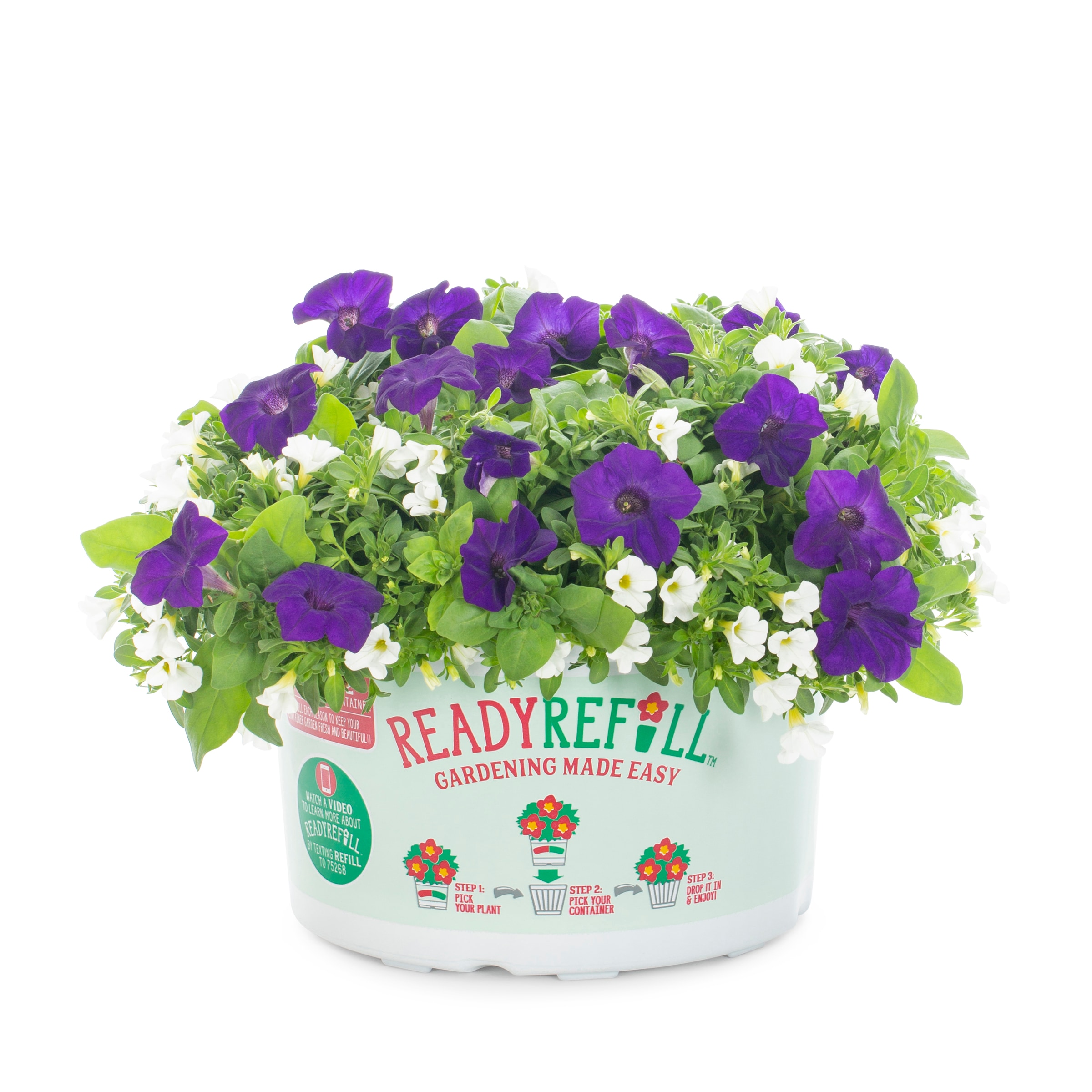 Ready Refill NURSERY Multicolor Mixed Annuals Combinations Pot