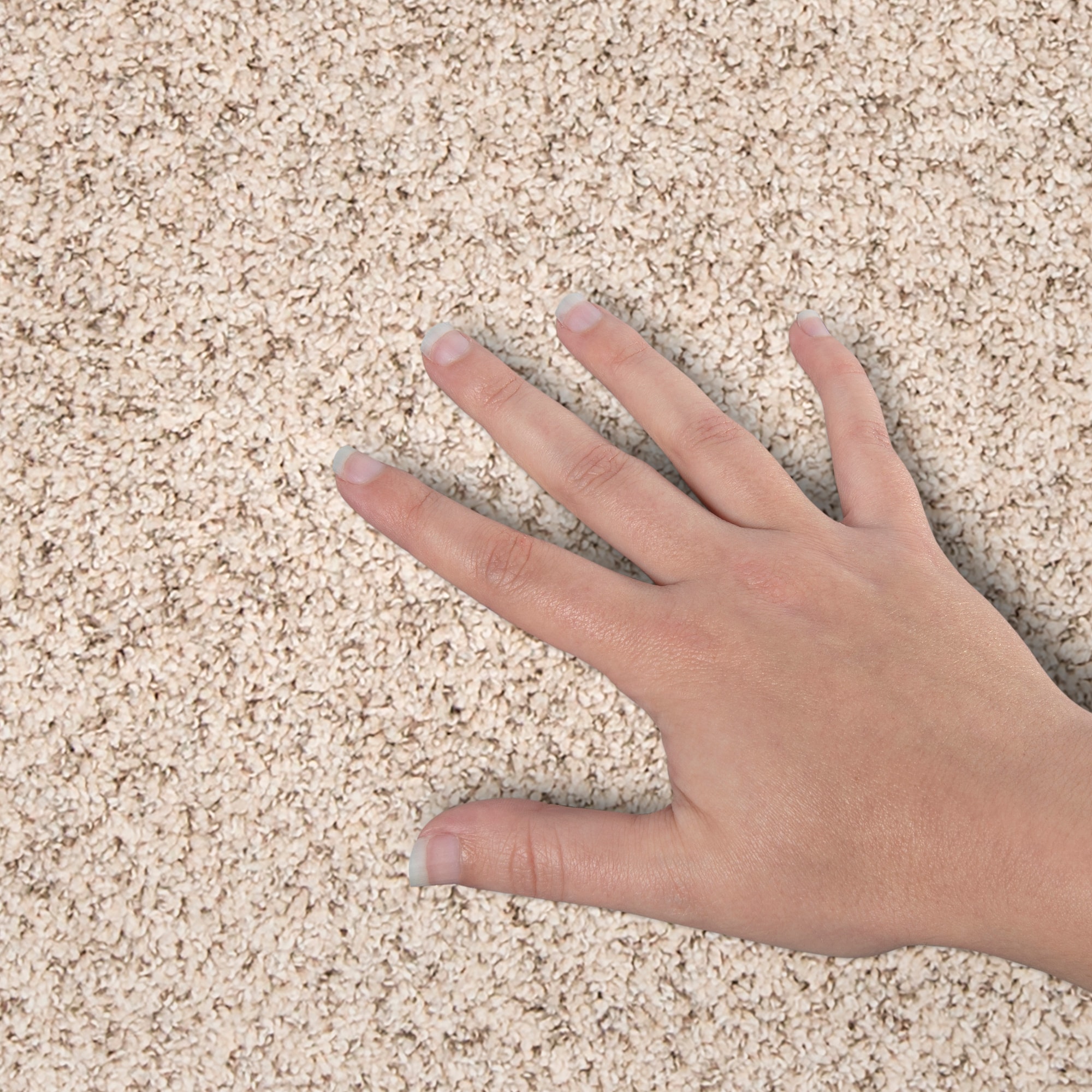 STAINMASTER PetProtect SS059-L005-S0808 Carpet-Samples - View #4