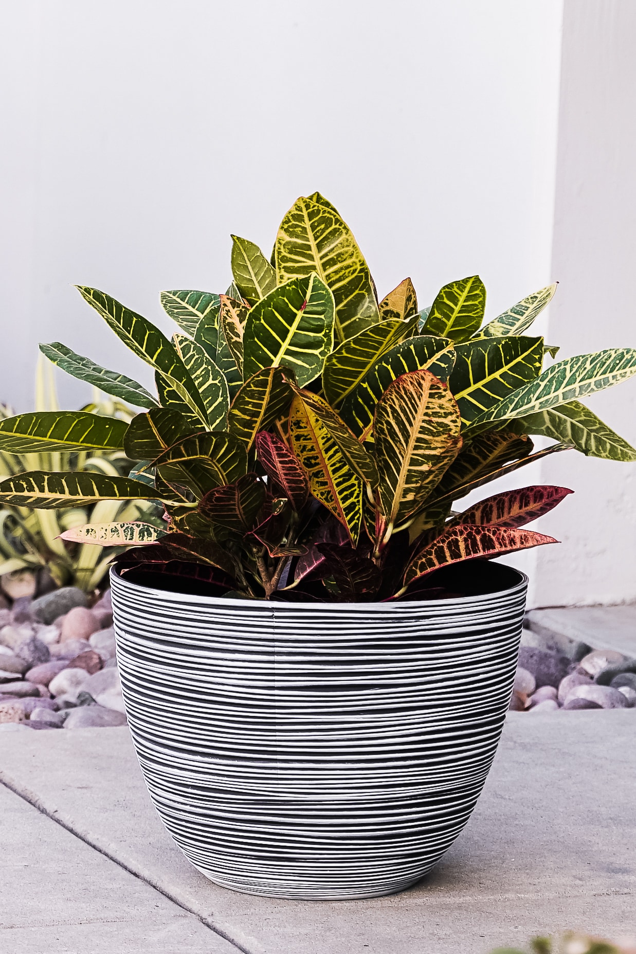 XBrand PL3417WT Planter-Window-Box - View #5