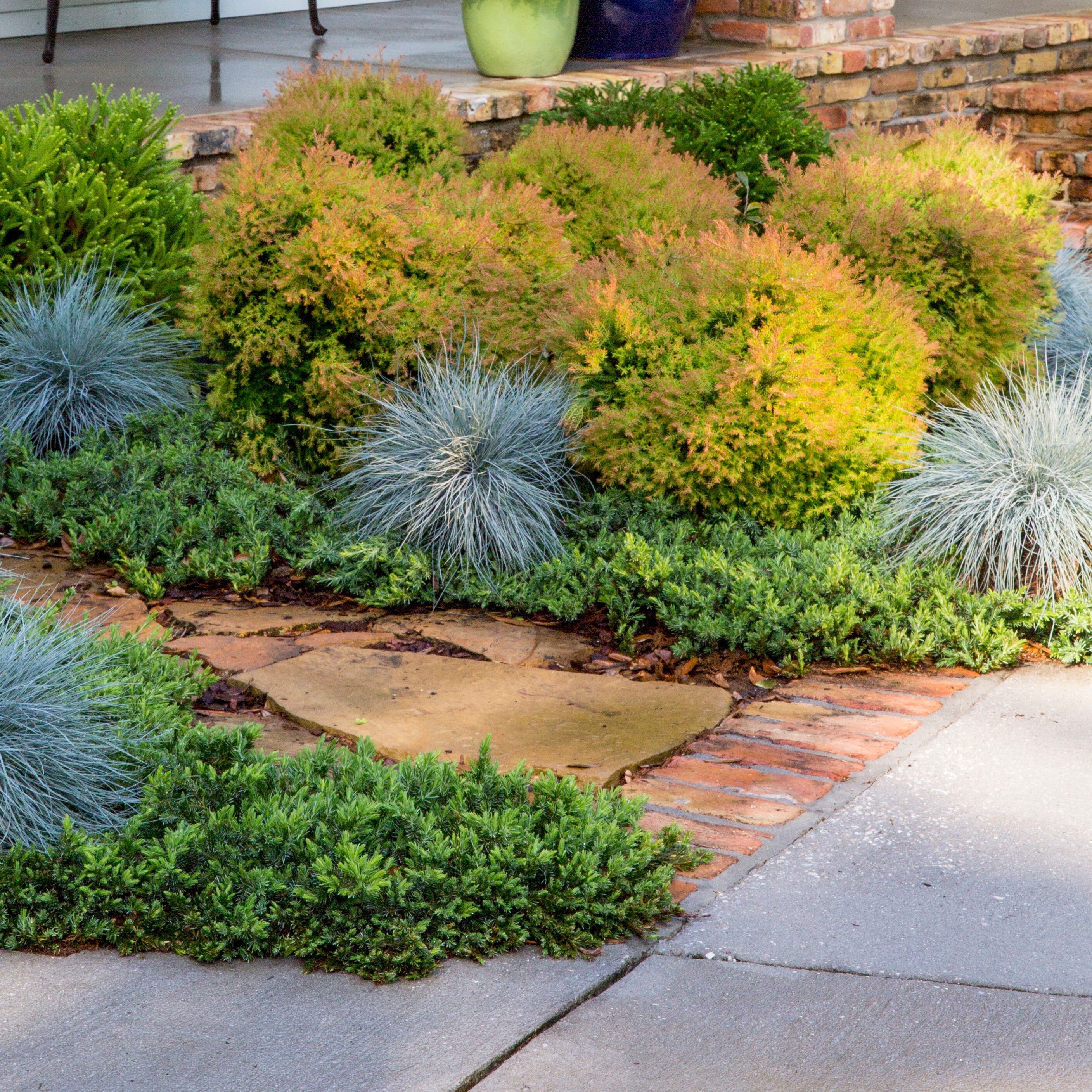 Flowerwood 3440Q-1 shrubs - View #7