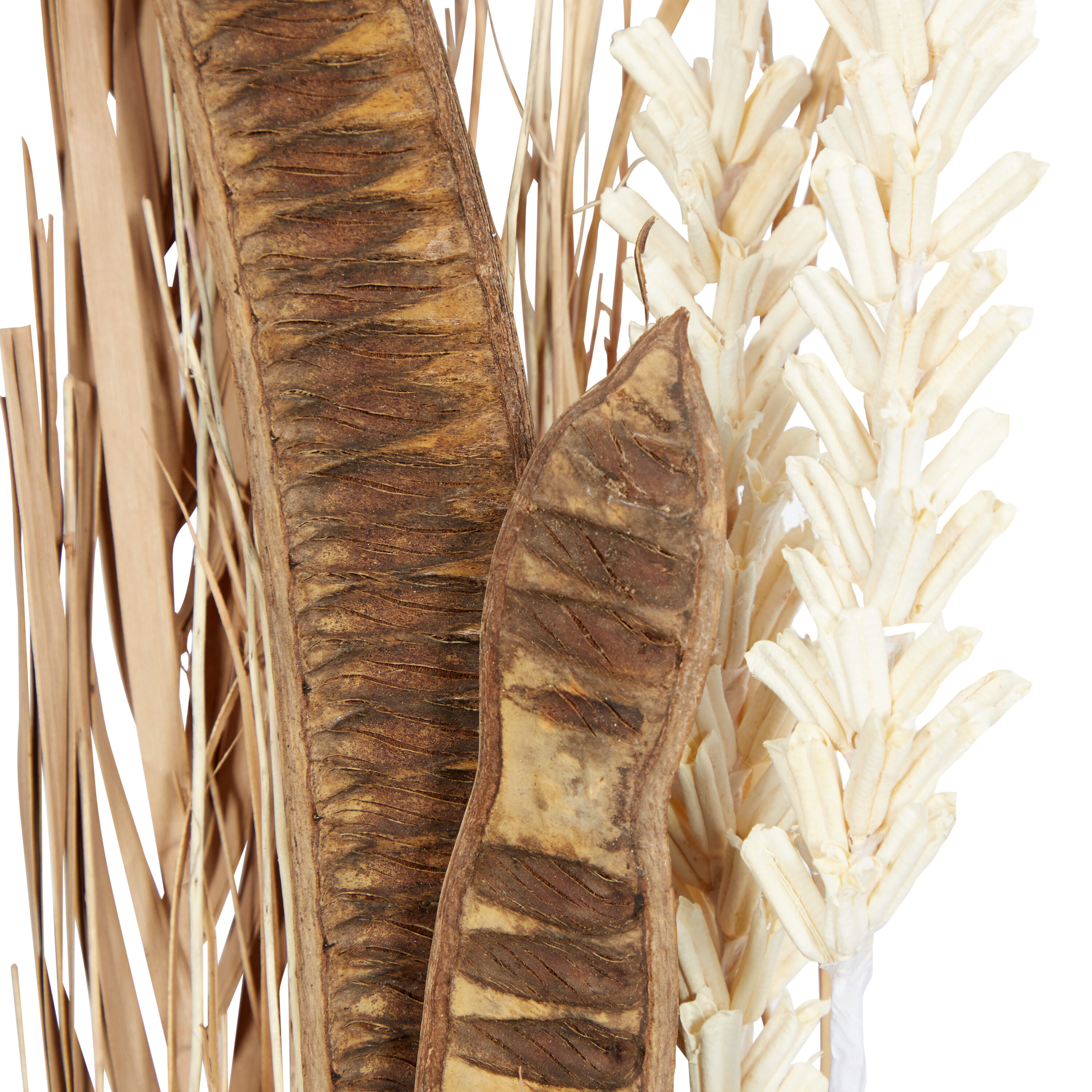 57" Tall Brown Dried Pampas Grass Floral Arrangement with Lights