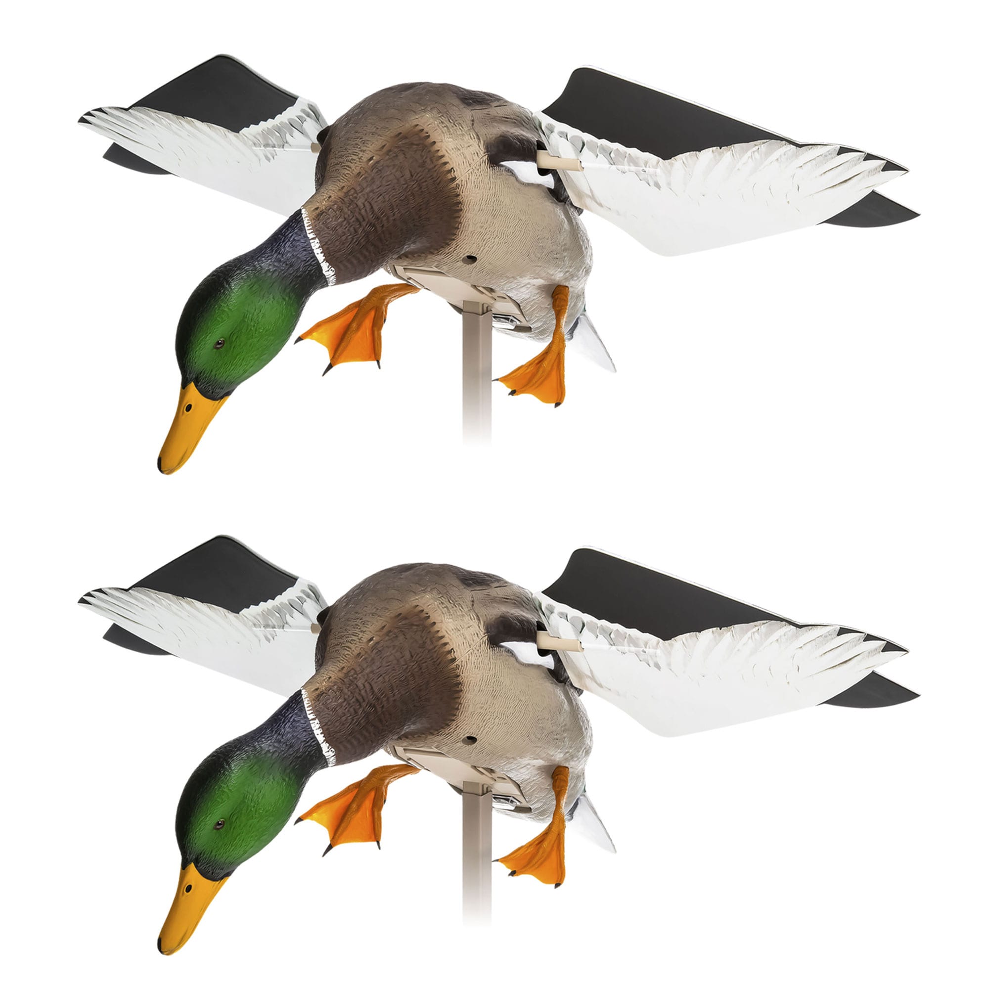  Avian X 408527 21.63 x 12 x 10 Inche(s) Decoy 2 -Pack