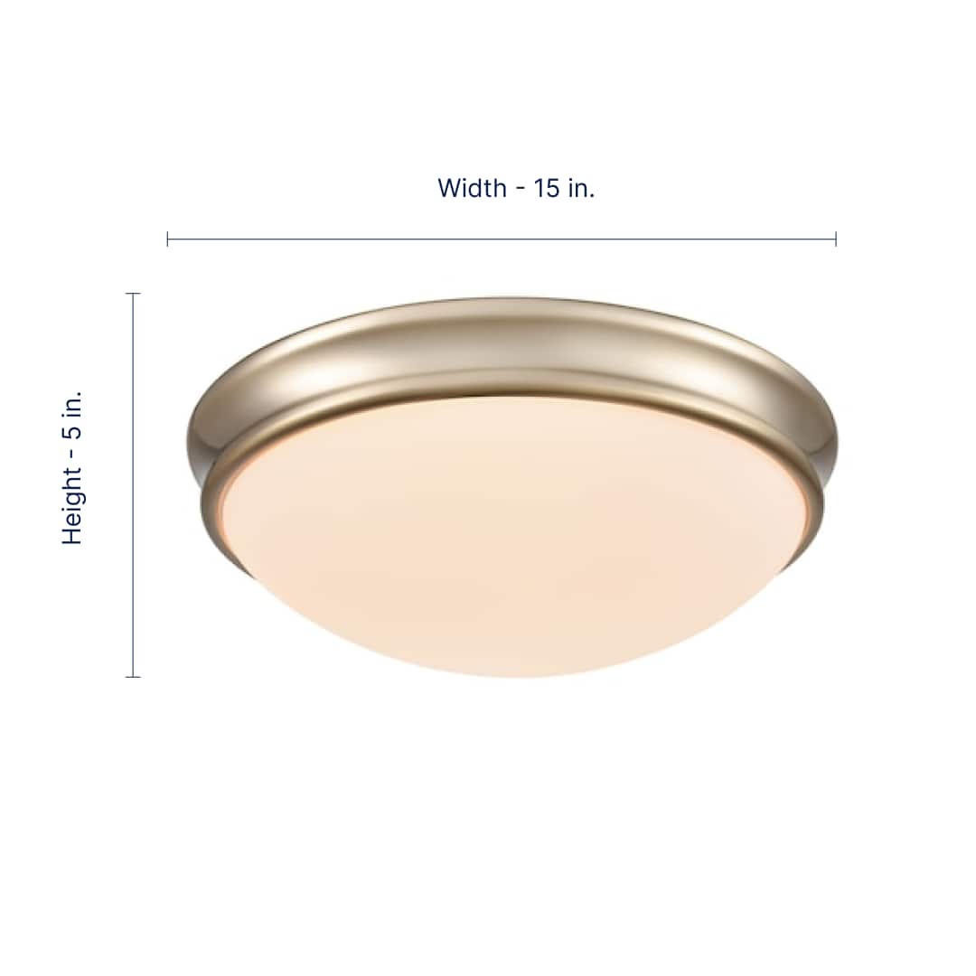 Millennium Lighting 5223-MG flushmounts - View #2