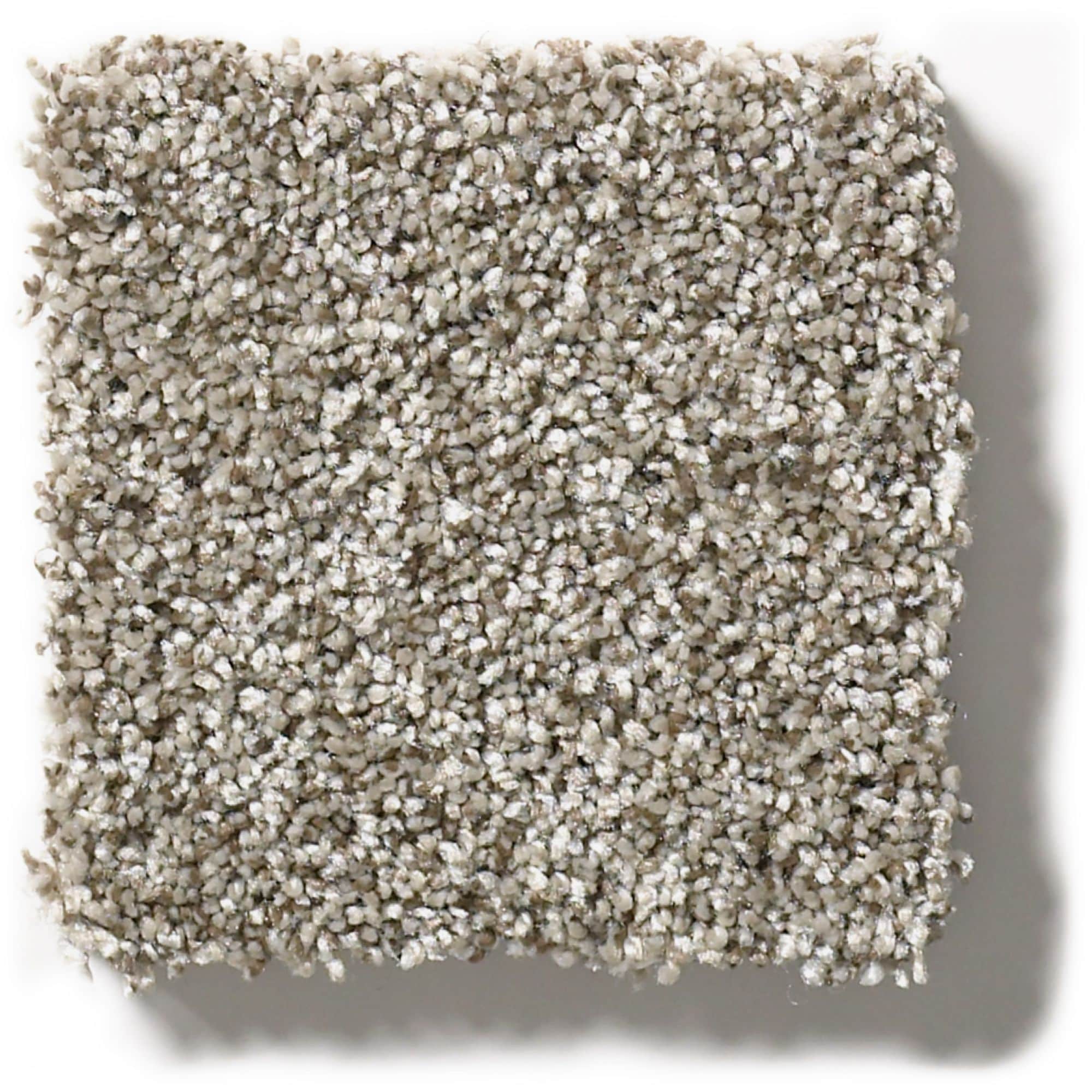 STAINMASTER 7L80100108 Essentials No Spills I Oatmeal Textured Indoor Carpet