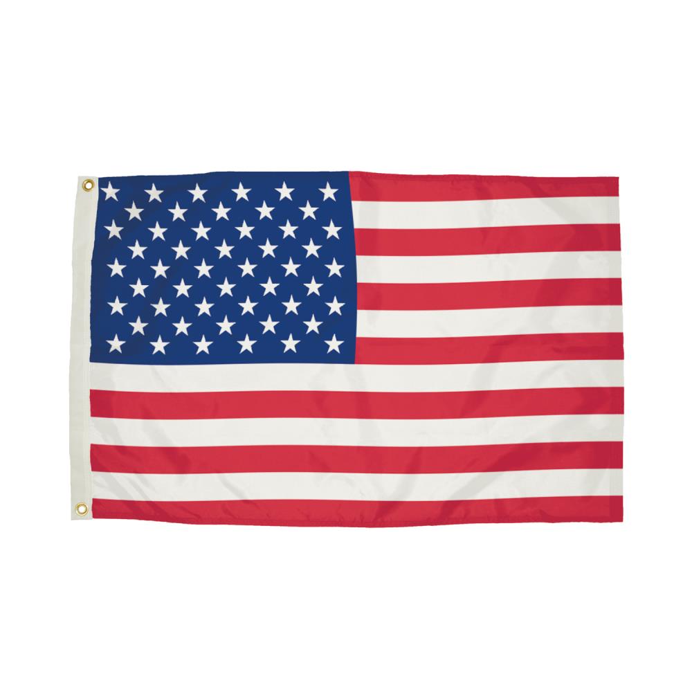 Independence Flag Durawavez 3-ft W x 5-ft H American Flag in the ...