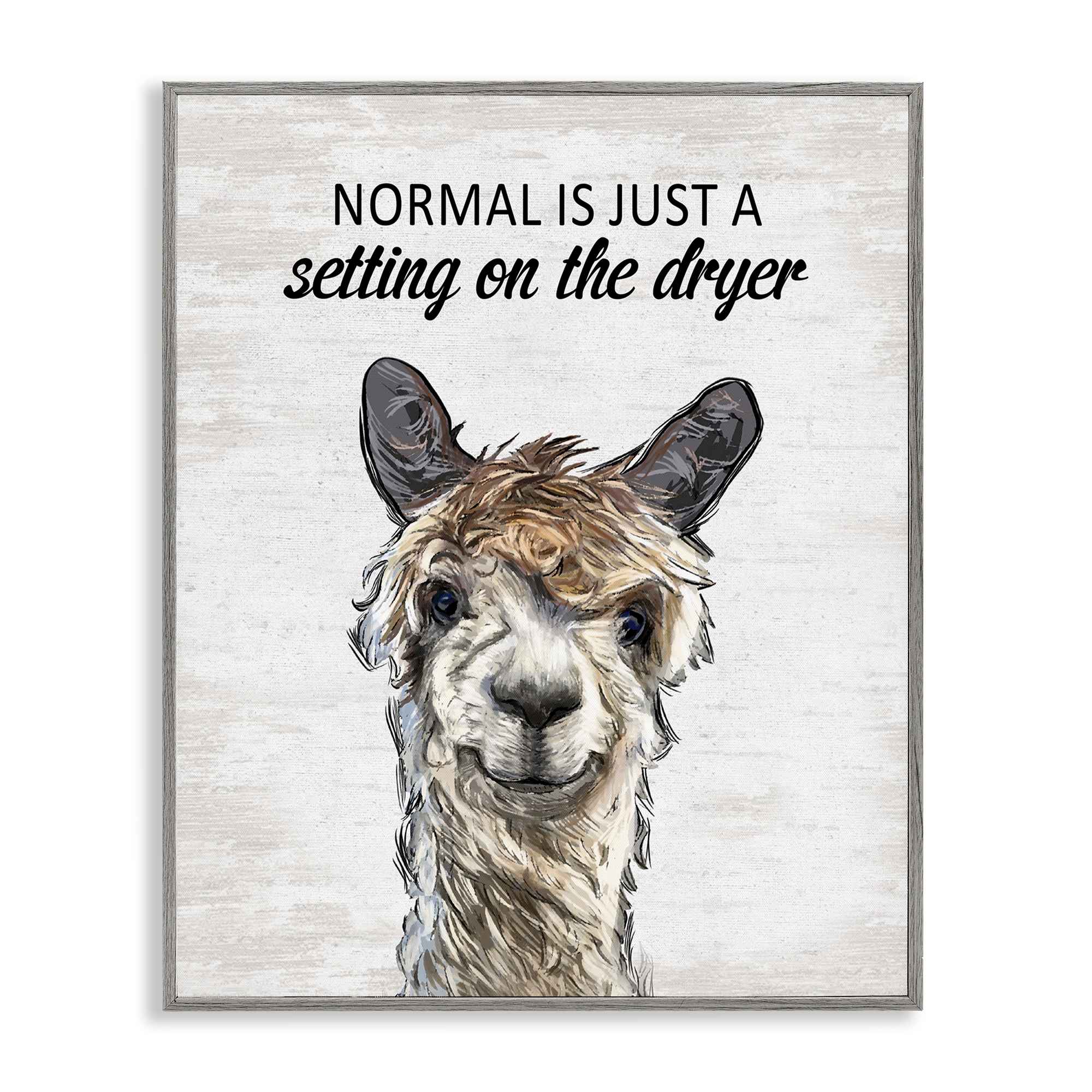 Stupell Industries BS-873-GFF-16X20 Normal is Just Dyer Setting Framed Giclee design by Lettered and Lined