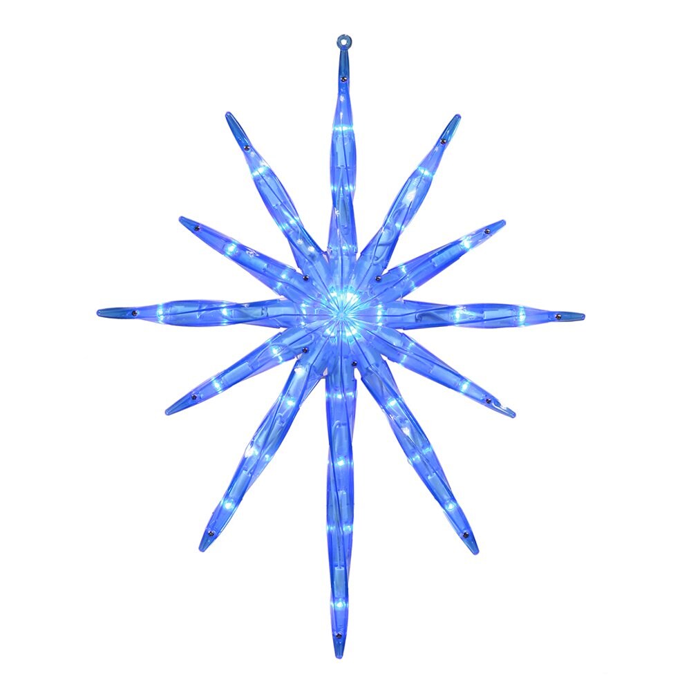 Vickerman X110462 