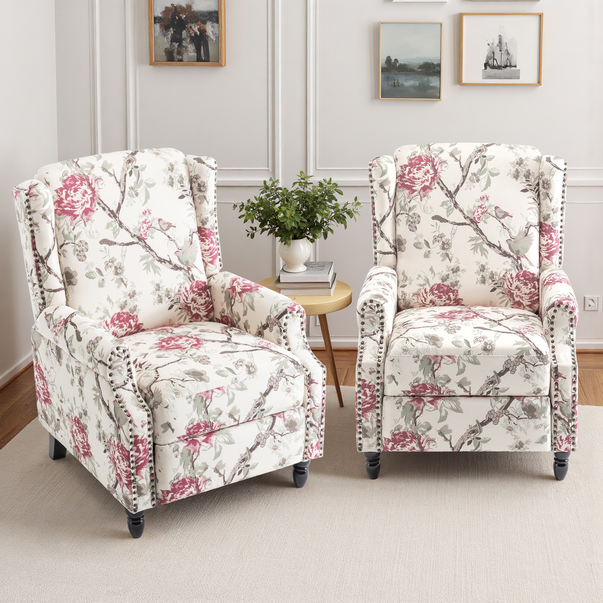 Dreamsidea LS-CH58-PLA FLO-2 recliners - View #2