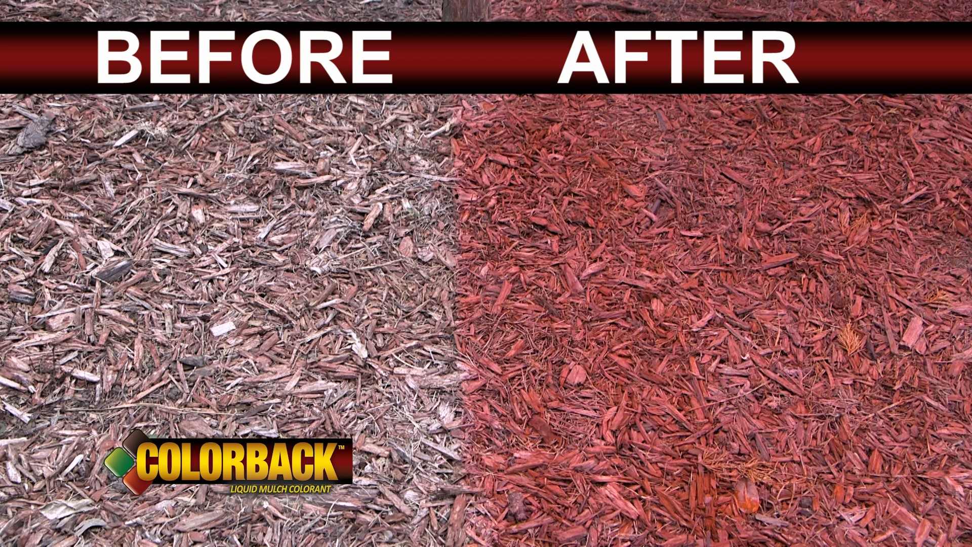 Reviews for COLORBACK 1/2 Gal. Black Mulch Color Covering up to 6400 sq.  ft.