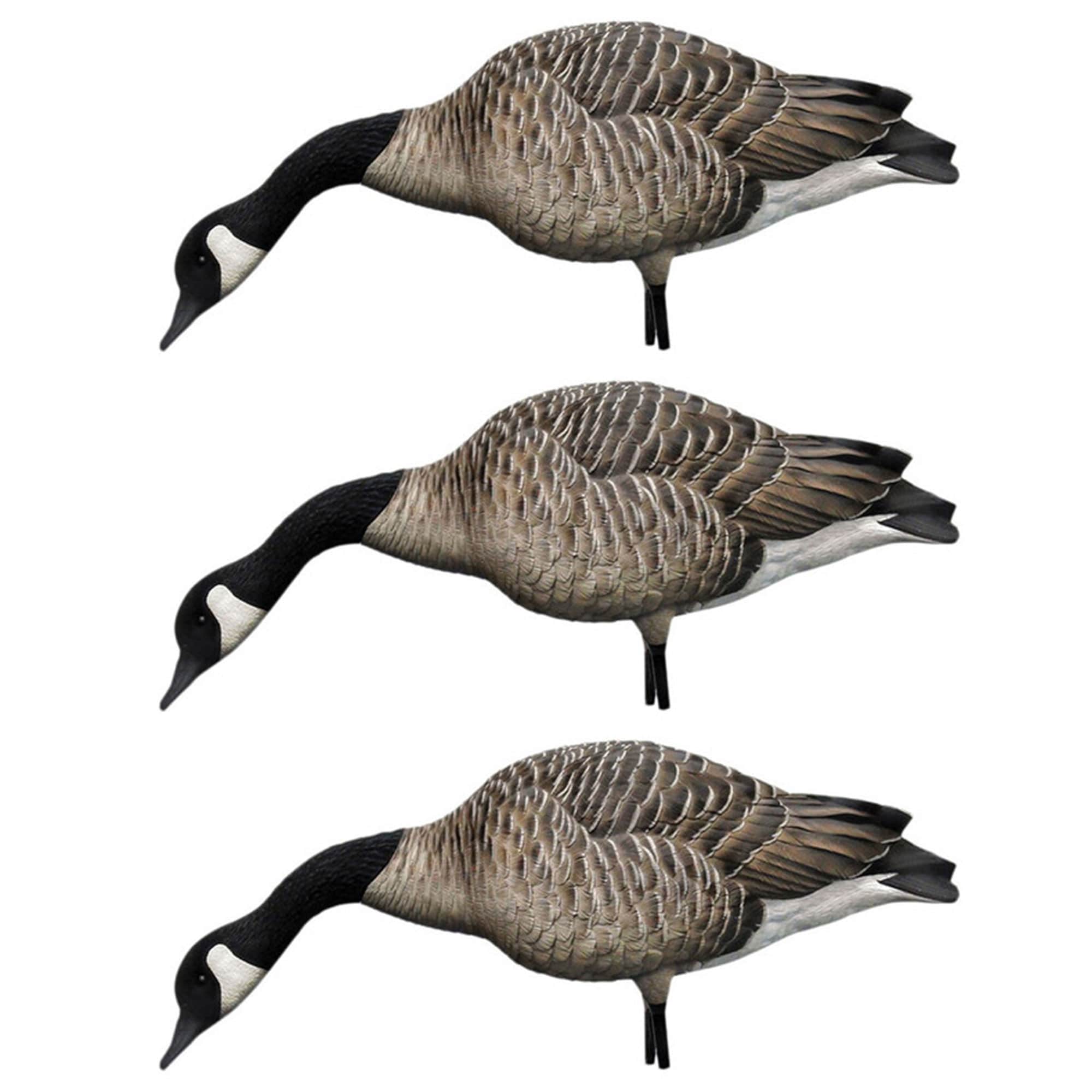  Avian X 408557 28.5 x 18 x 16.5 Inche(s) Decoy 3 -Pack