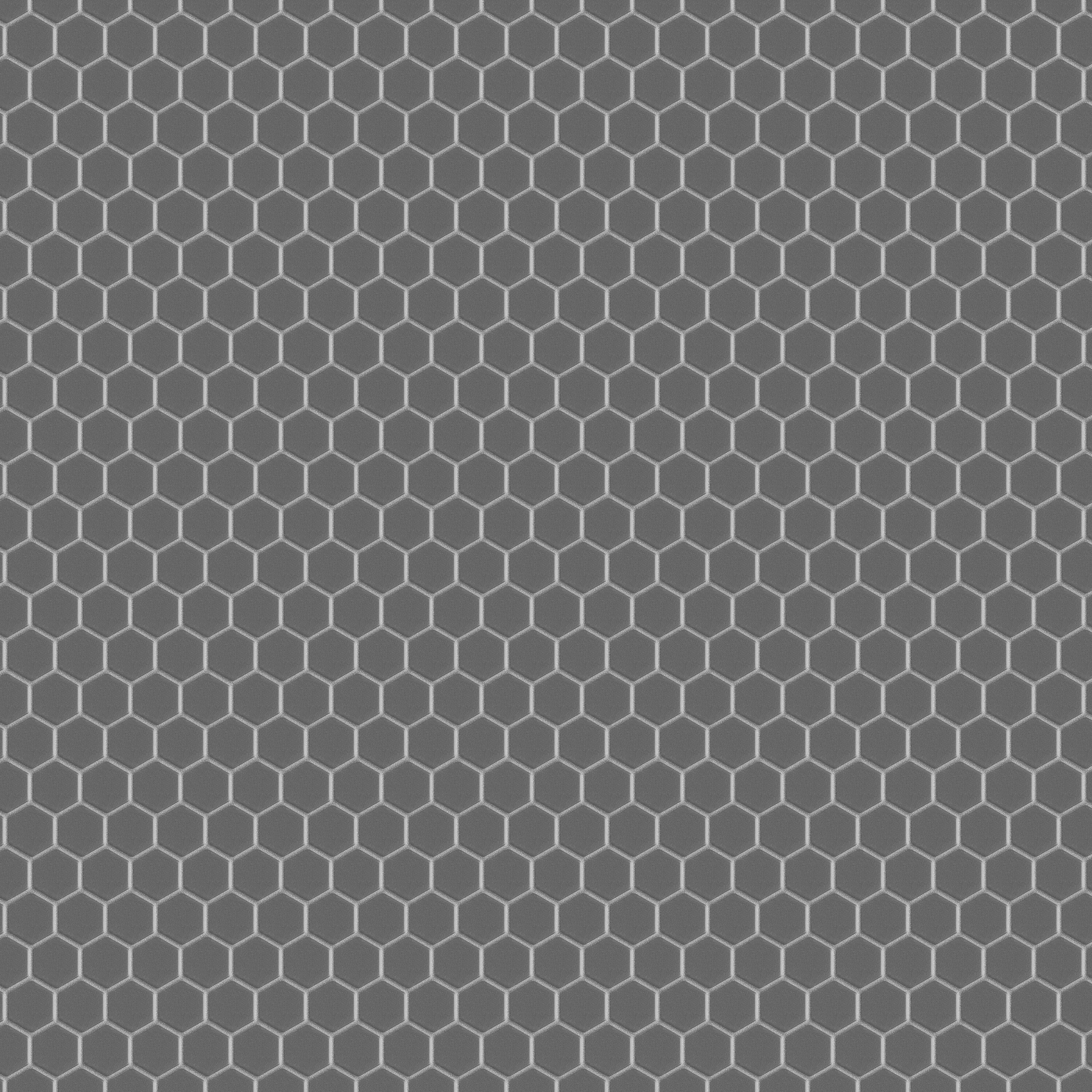 Affinity Tile S1FWRM1HMG Tile-Samples - View #5