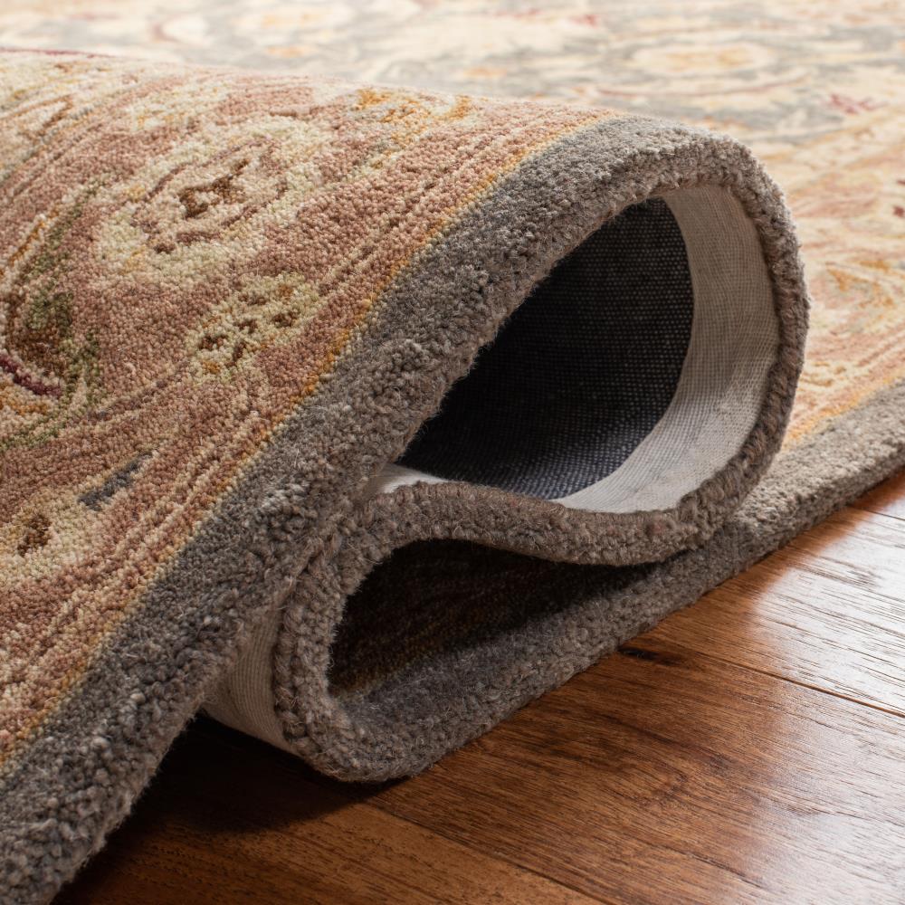 Safavieh AN549B-6R rugs - View #5