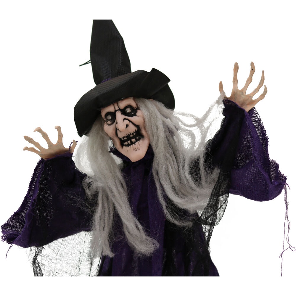 Haunted Hill Farm Freestanding Screeching Lighted Witch Animatronic in ...