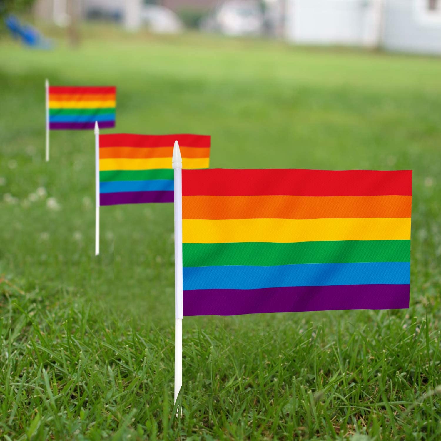 Anley 5-ft W x 3-ft H Rainbow Flag in the Decorative Banners & Flags  department at