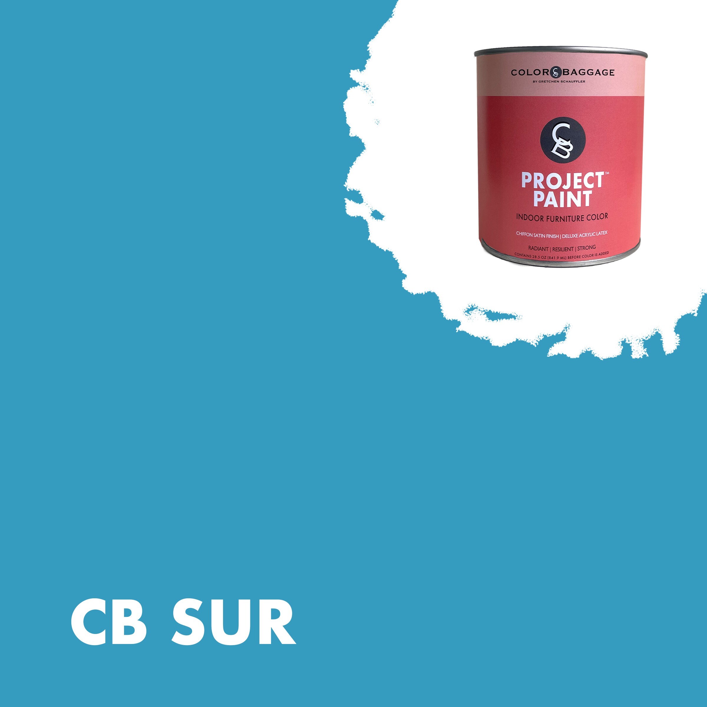 Color Baggage SUR-PIF-SAT-G Project Paint Indoor Satin Sur ( 1-gallon )