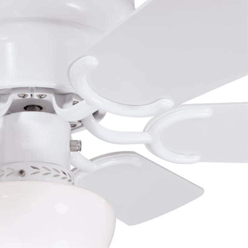 Ciata 42412L Ceiling-Fans - View #5