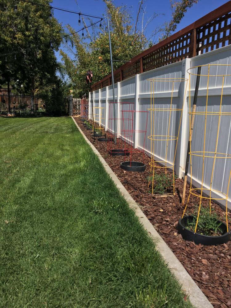 WaterRounds VS15F Arbor-Trellis-Accessories - View #2
