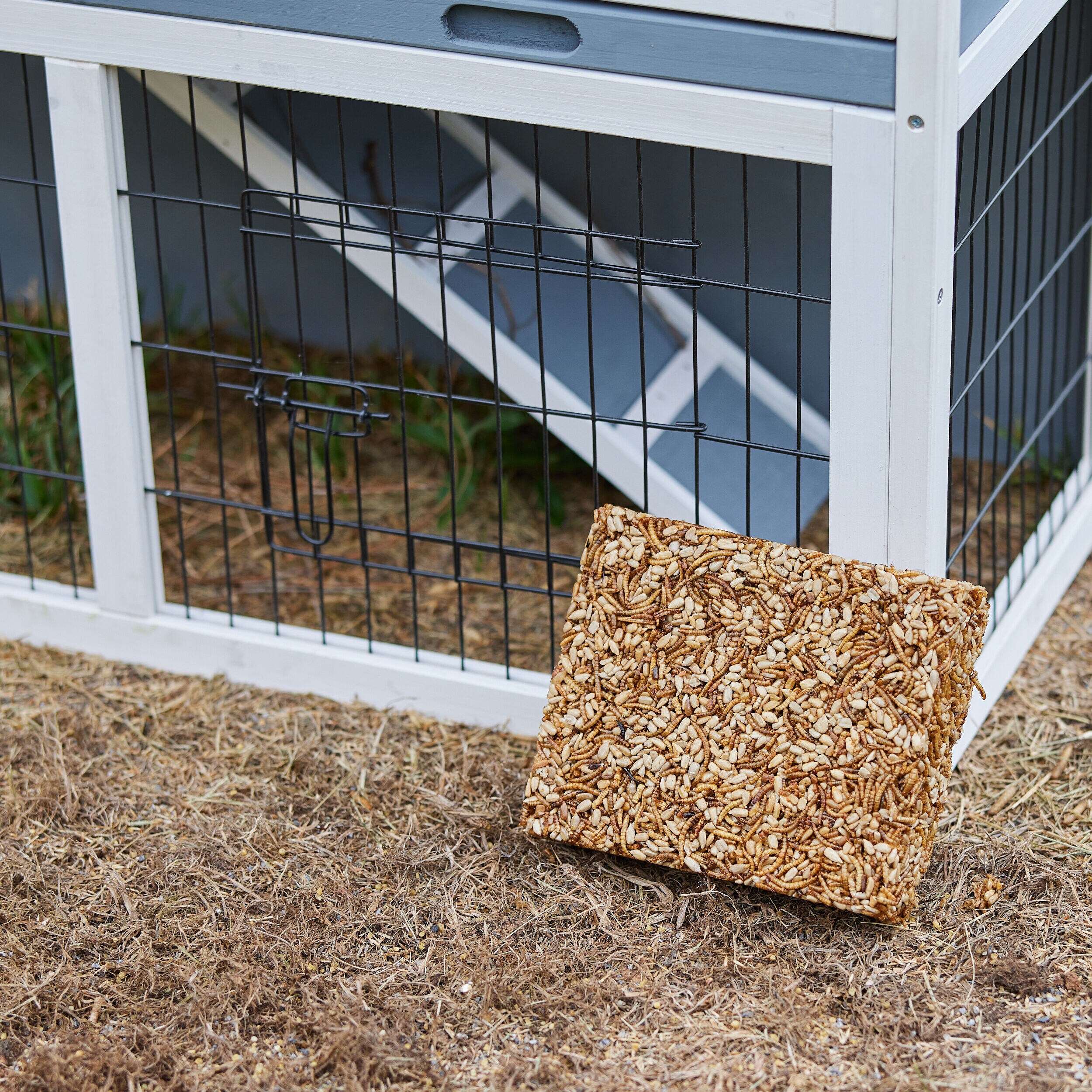Pecking Order 009334 Poultry-Feed - View #7