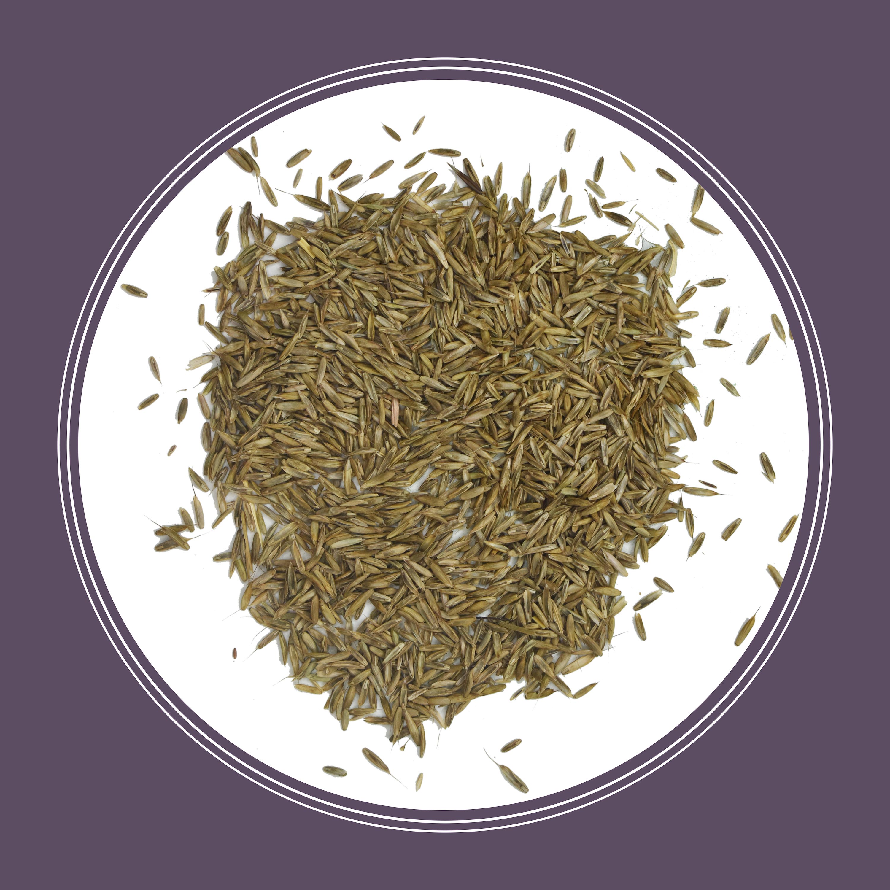Pennington 184115 Grass-Seed - View #3