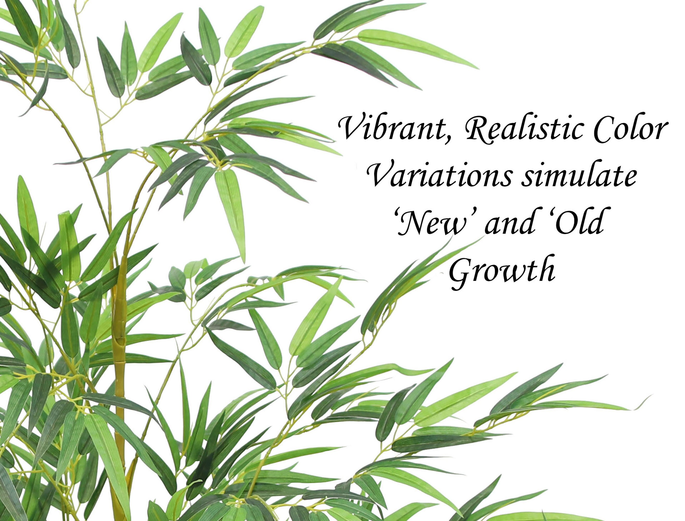 The Mod Greenhouse YPT01081 Artificial-Plants-Trees - View #2