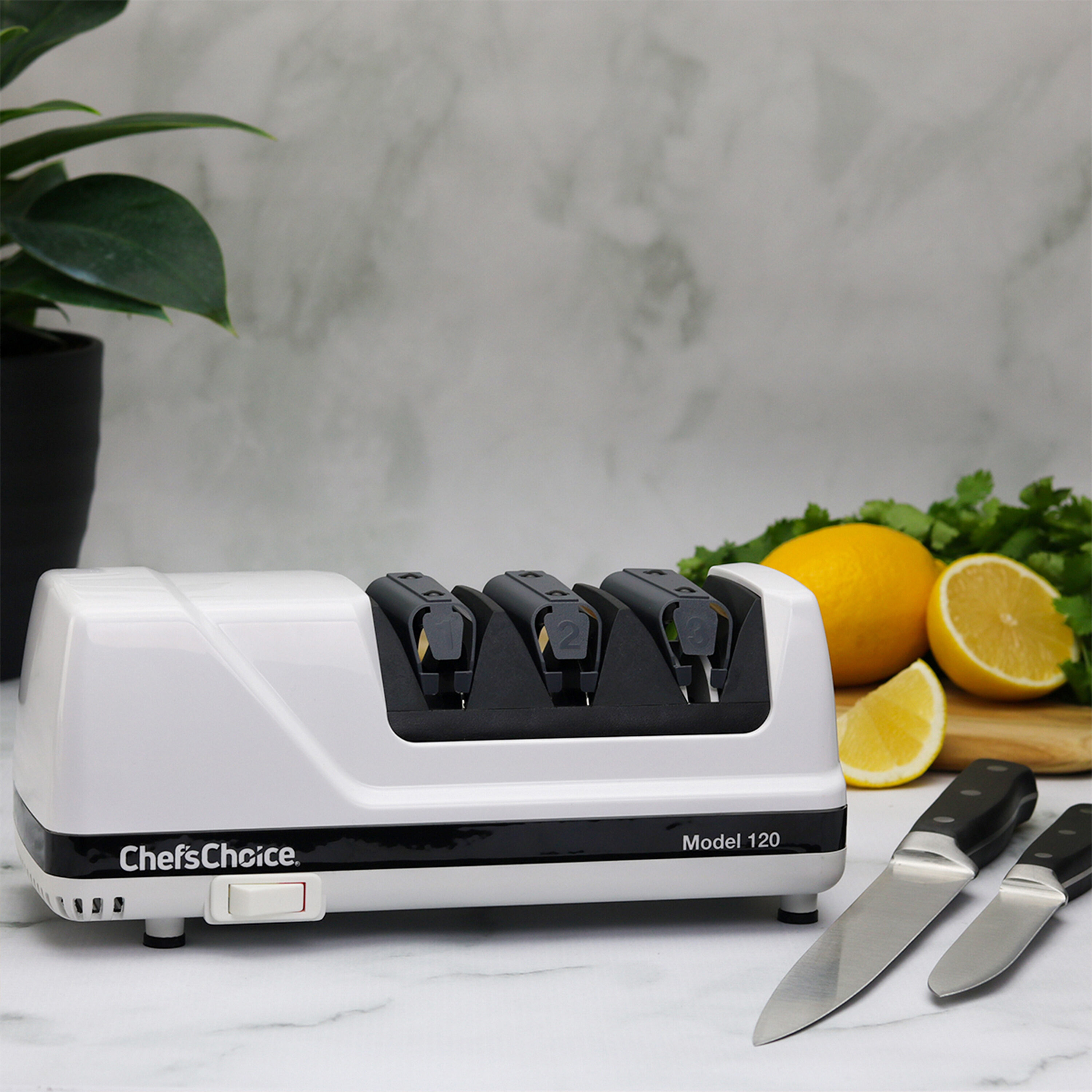  Homly Professional Electric Knife Sharpeners for Kitchen Knives  with Diamond Abrasives and Precision Angle Guides, Multifunctional 3-Stage  Slots, Applicable to Straight Knife and Ceramic Knife: Home & Kitchen